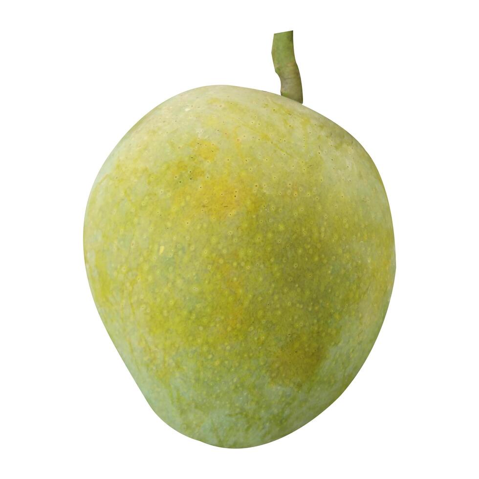 Mango isolated on white background stock photos