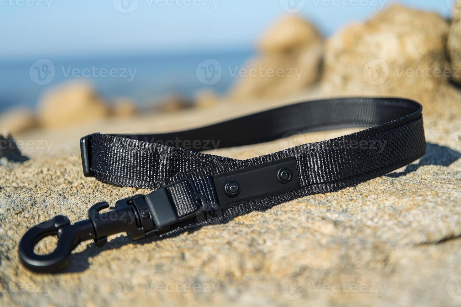 A black dog leash with a buckle on the beach photo