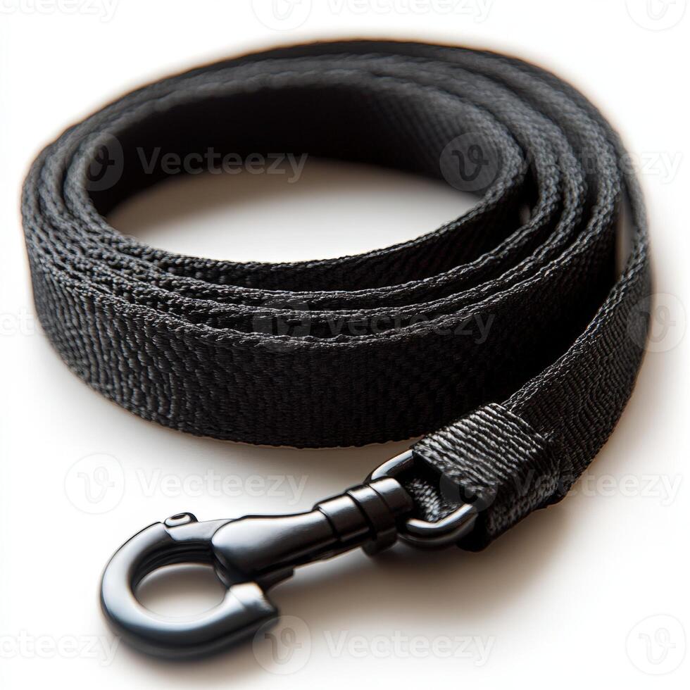 A black dog leash with a hook on the end photo
