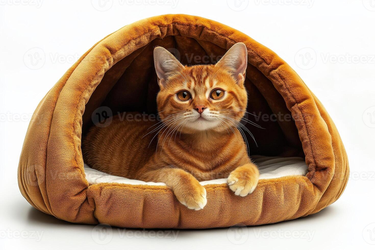 An orange tabby cat is sitting in a brown cat bed photo