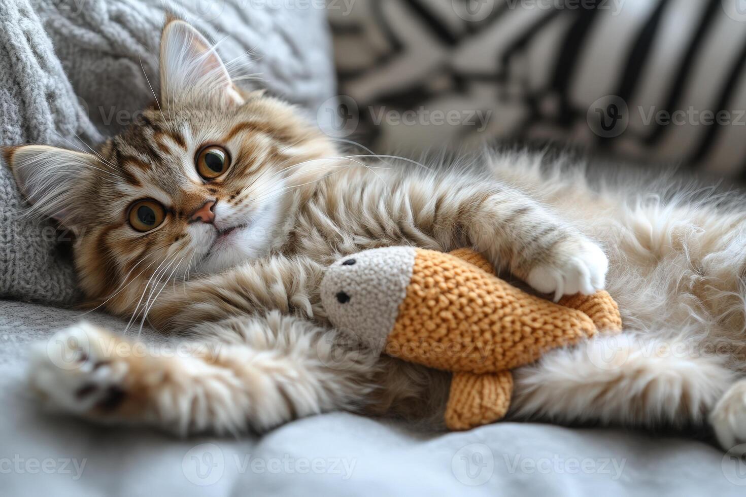 Cat with Toy Lying on Bed. photo