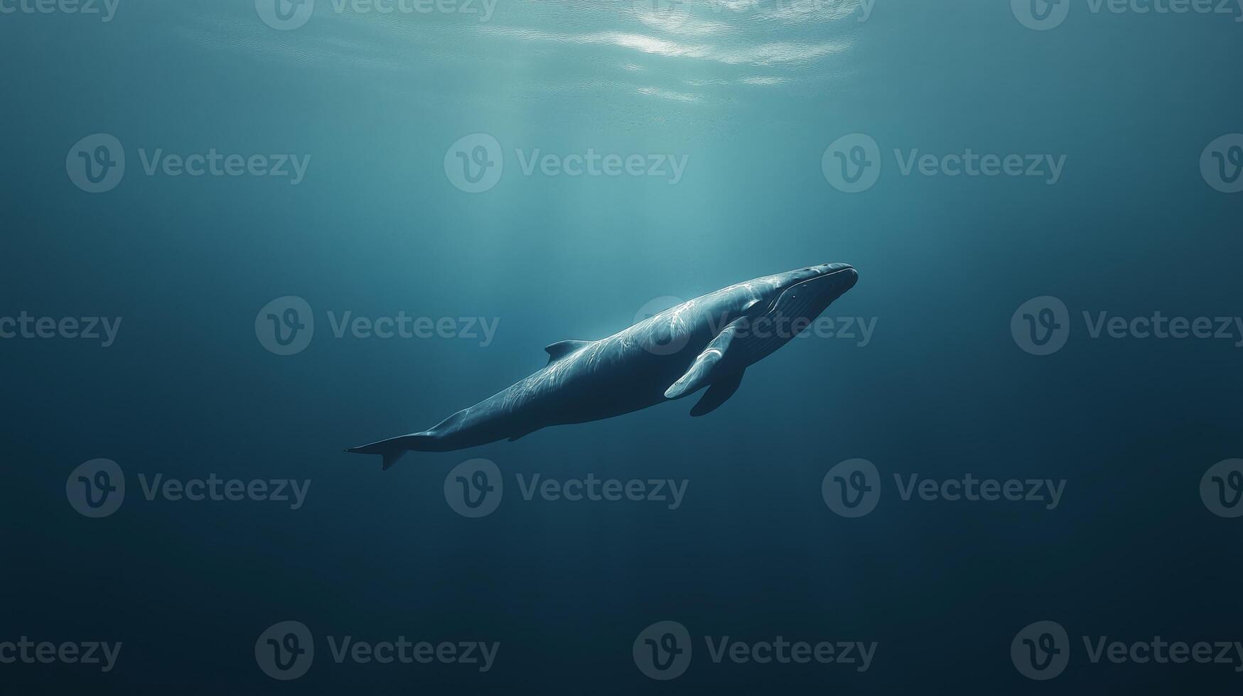 A large whale swims gracefully in dark ocean depths, illuminated by soft rays of light from above. photo