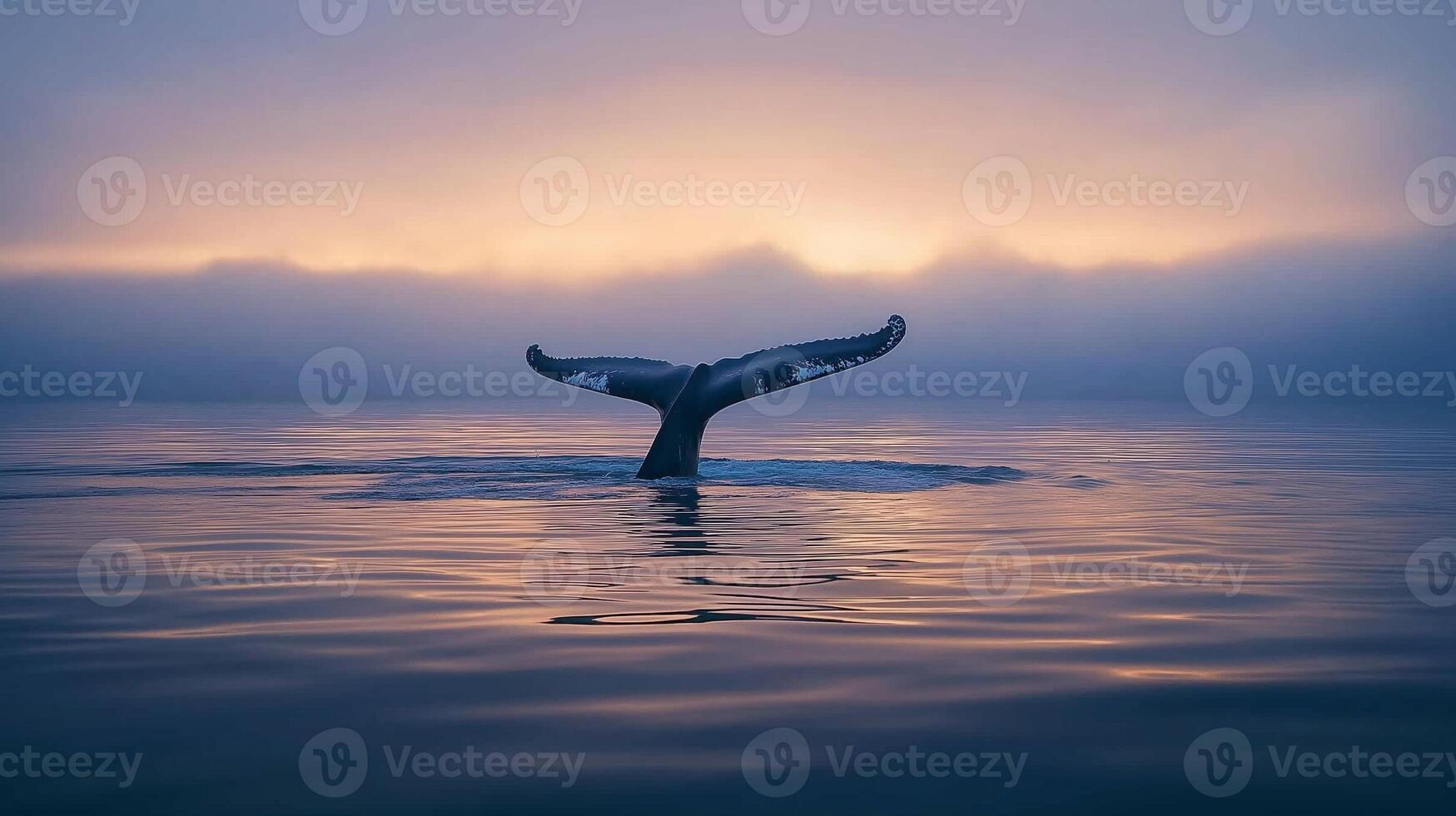 A whale's tail surfaces at sunrise, shrouded in fog for a mystical scene. photo