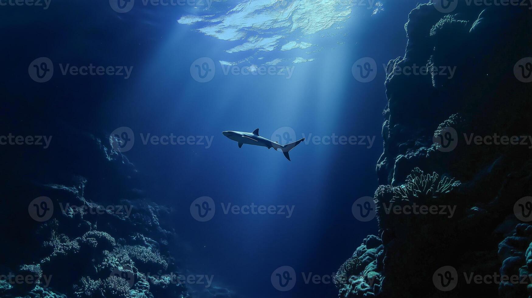 A shark glides through the deep ocean, surrounded by coral, as sunlight filters through water. photo