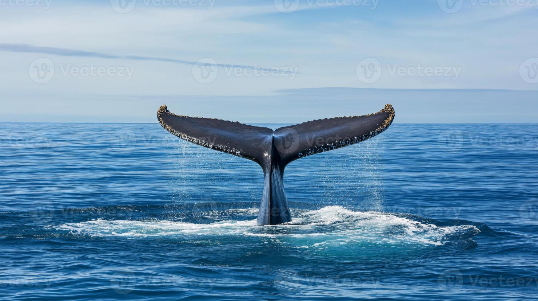 A whale tail breaks the surface of calm water in a serene ocean setting during the day. photo