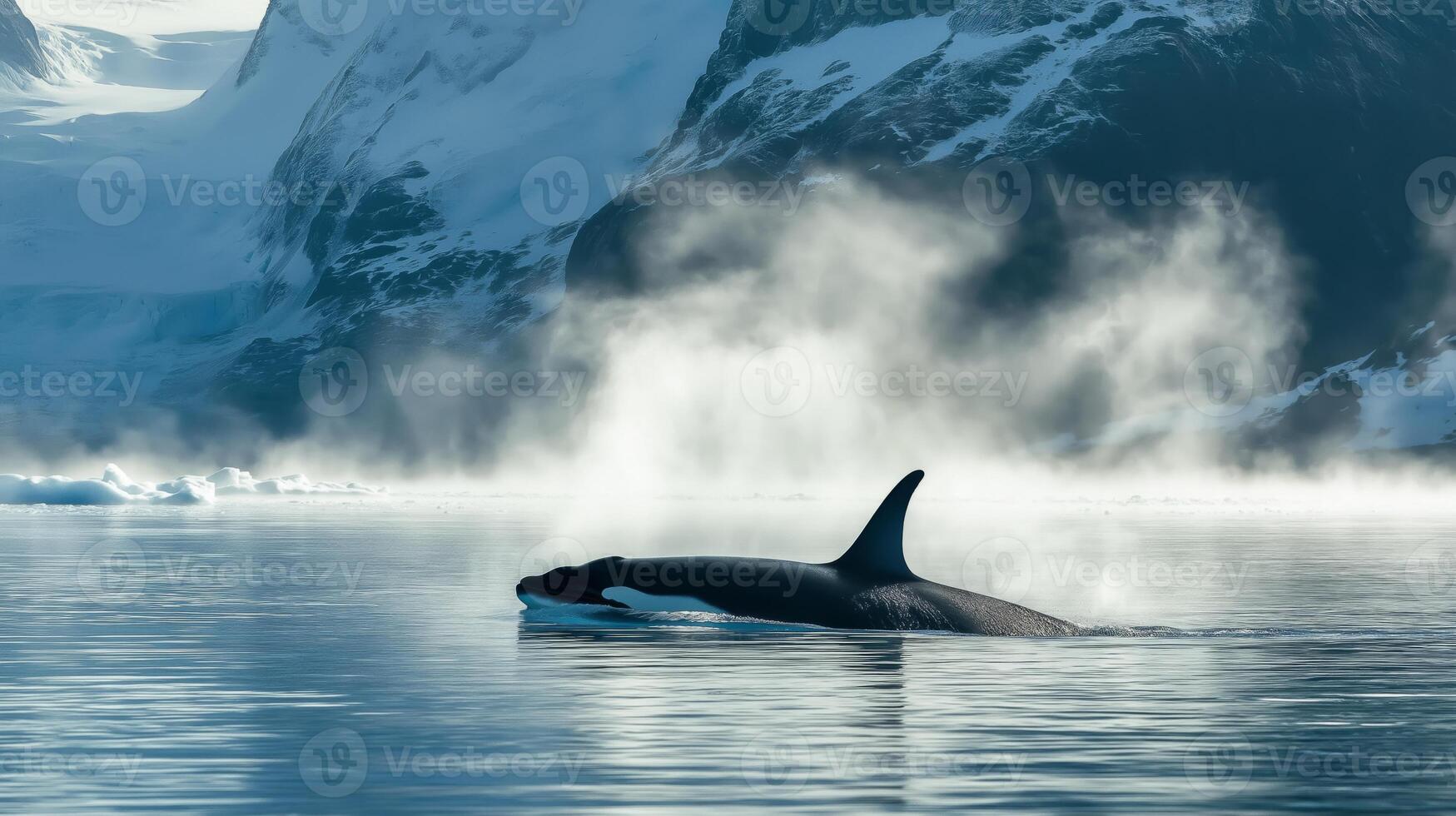 An orca gracefully swims through tranquil icy waters surrounded by mist and towering mountains. photo