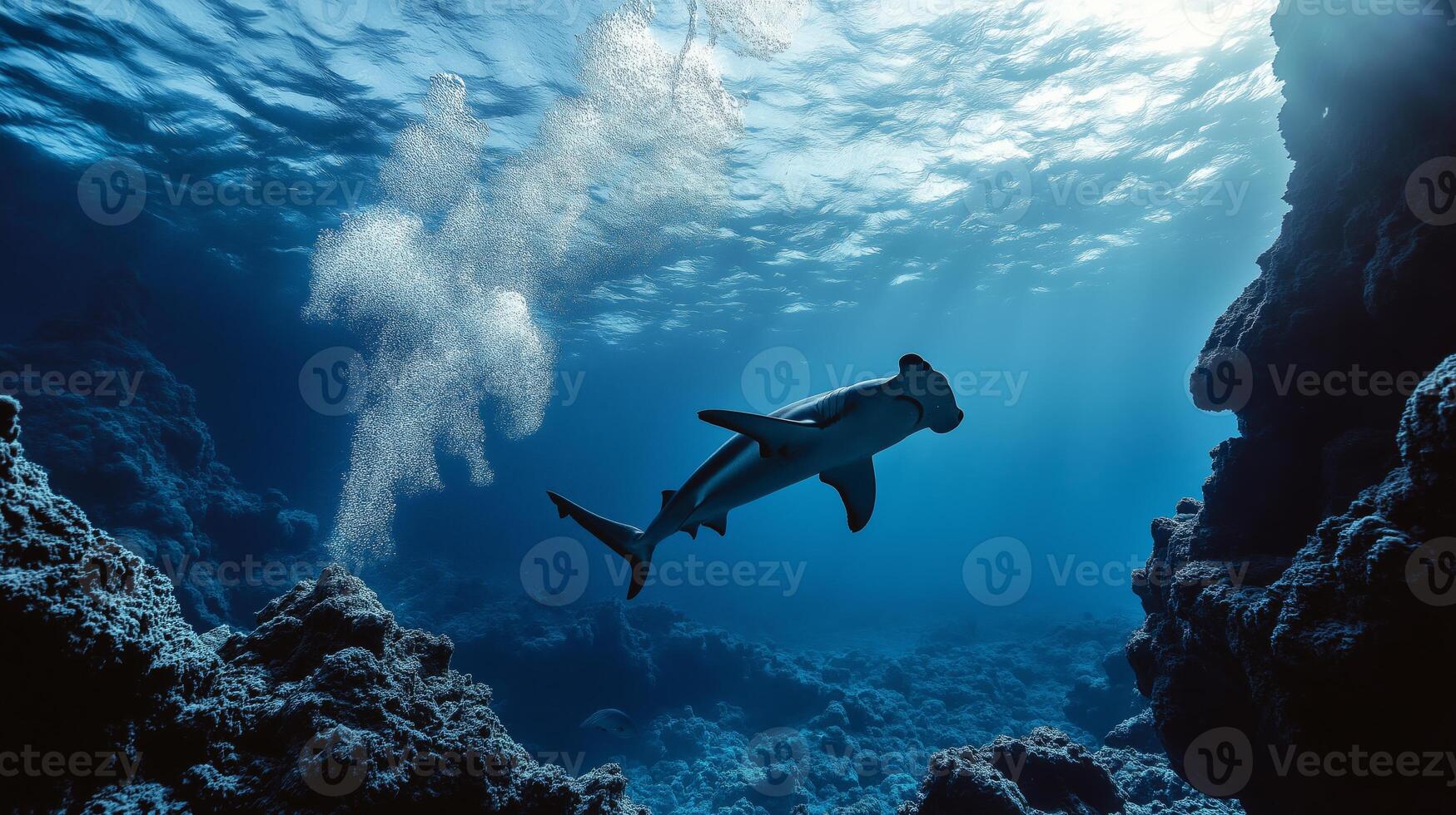 A hammerhead shark glides through vibrant ocean waters, showcasing the beauty of marine life. photo
