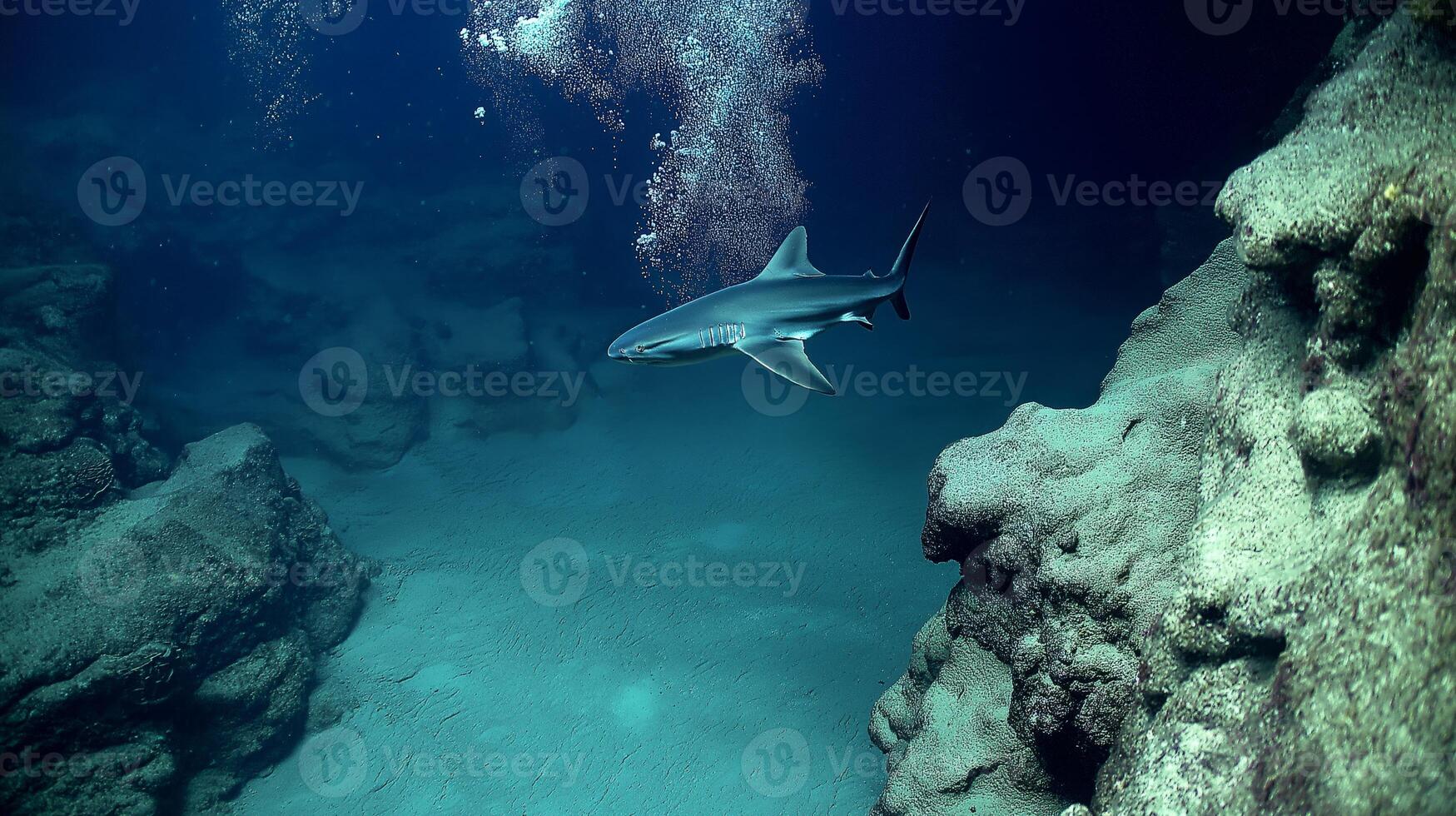 A shark glides through clear blue water among rocky formations and bubbles rising from below. photo