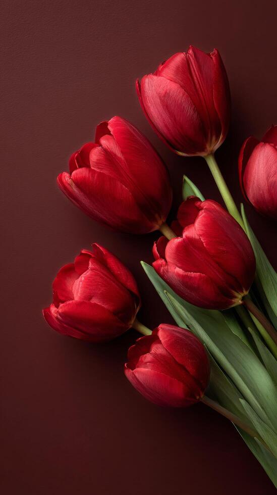 Minimal Tulip Border photo