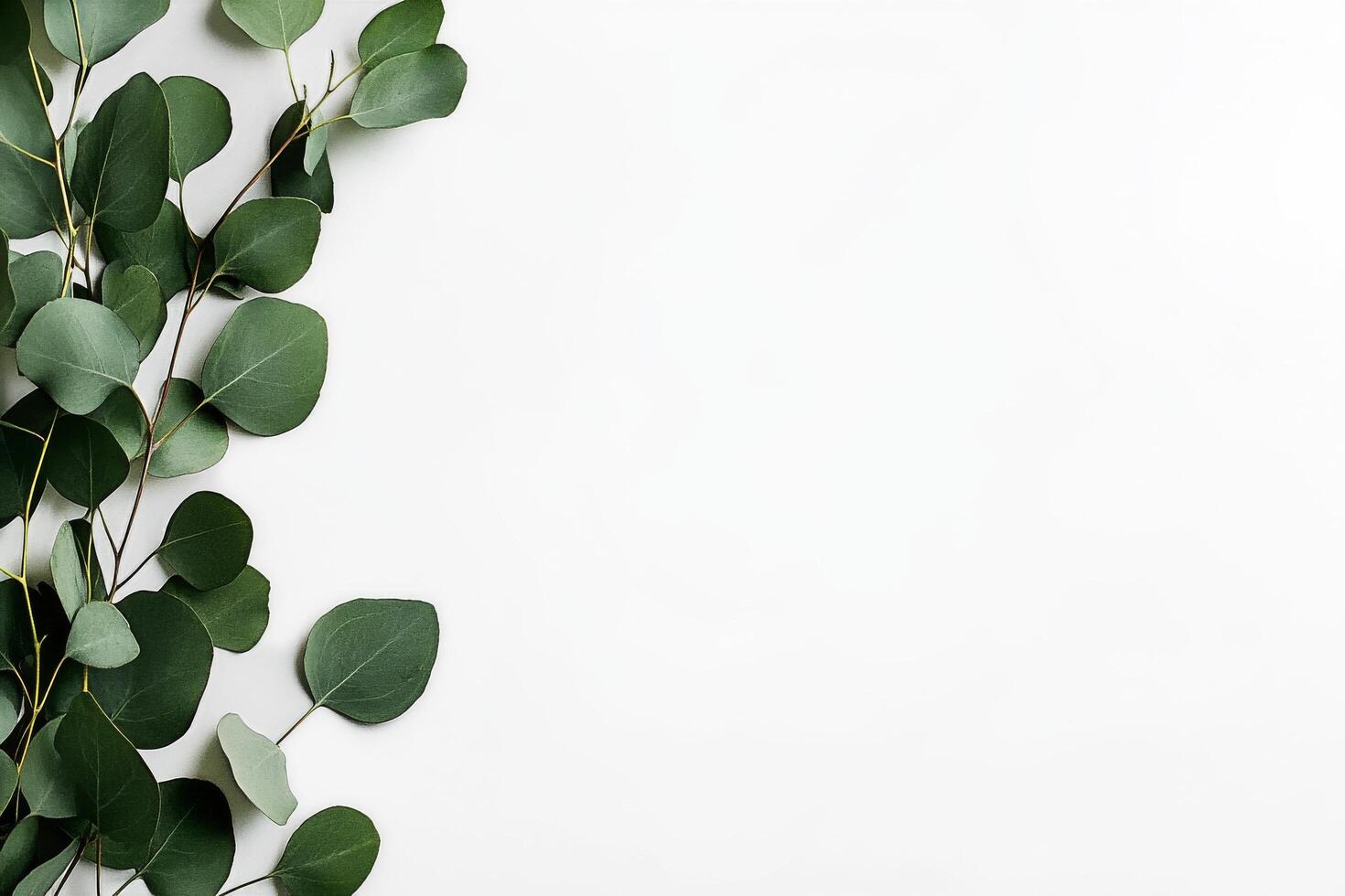 Green Eucalyptus Leaves Arranged on a White Background for a Fresh and Natural Aesthetic photo