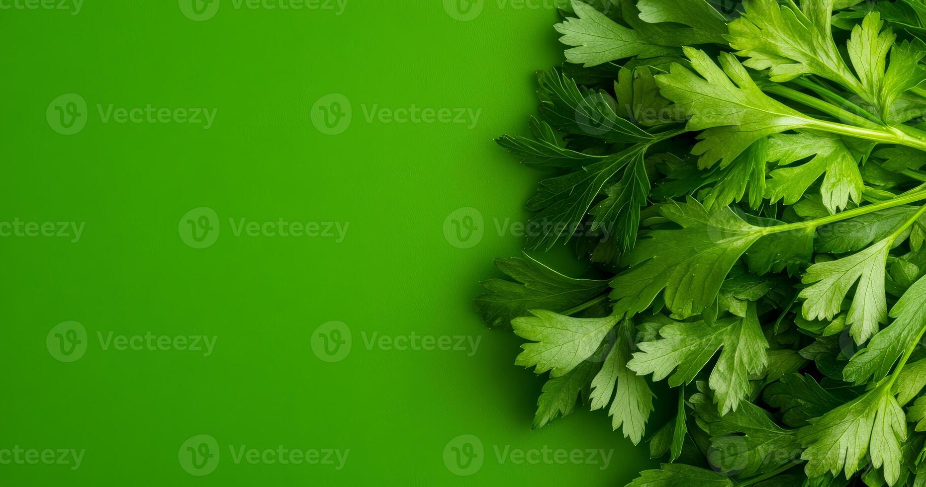 Fresh parsley on green. Bright green parsley leaves arranged neatly on a vivid green backdrop create a fresh and appealing culinary display. photo
