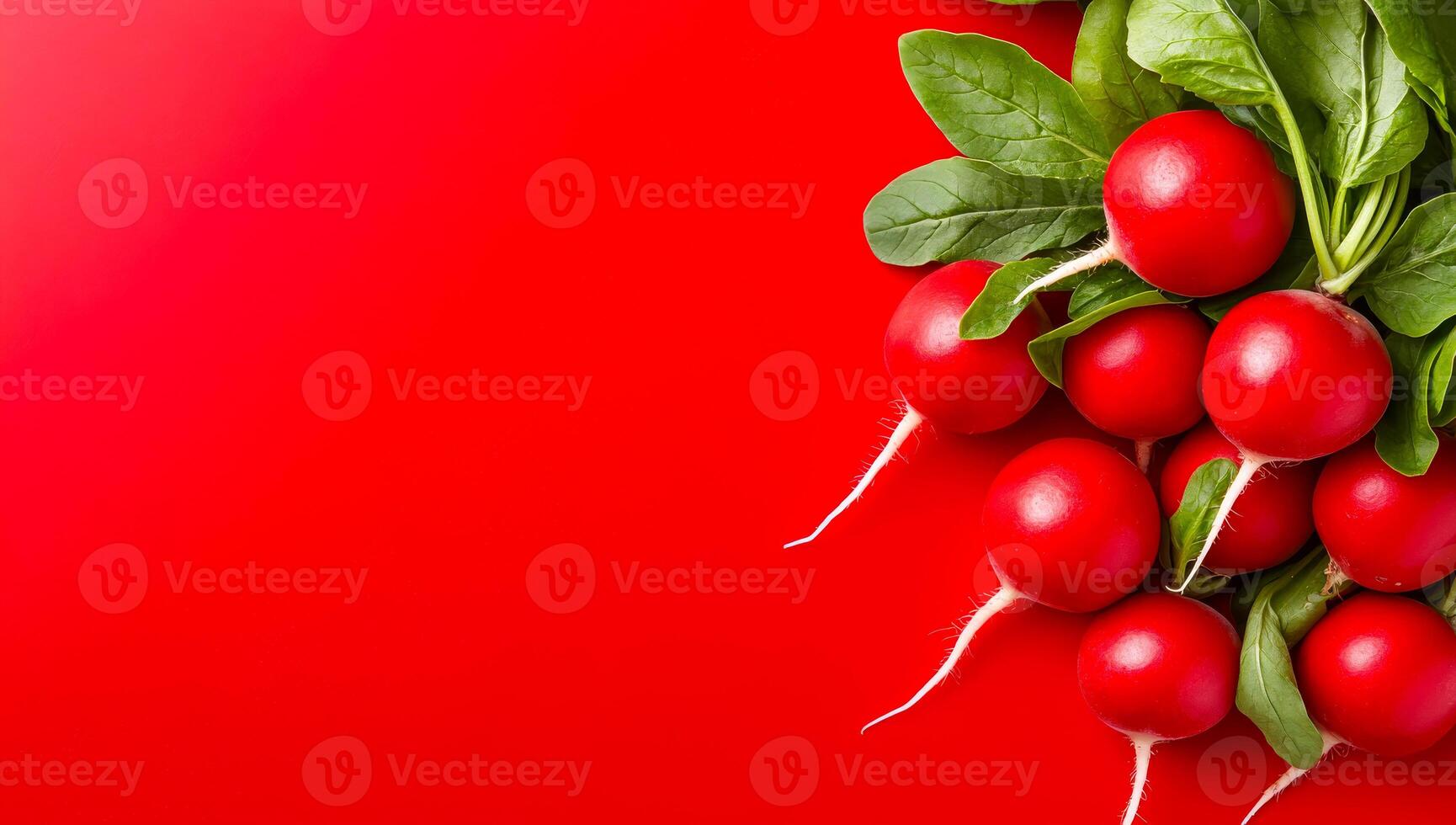 Radishes with green leaves. Bright red radishes with green leaves arranged against a bold red background, showcasing freshness and color. photo