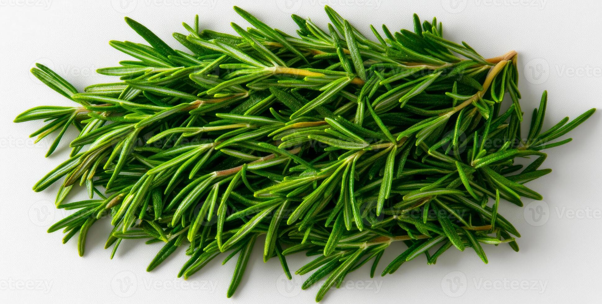 Rosemary on white background. Rosemary sprigs are displayed on a clean white surface, showcasing their vibrant green color and needle-like leaves. photo