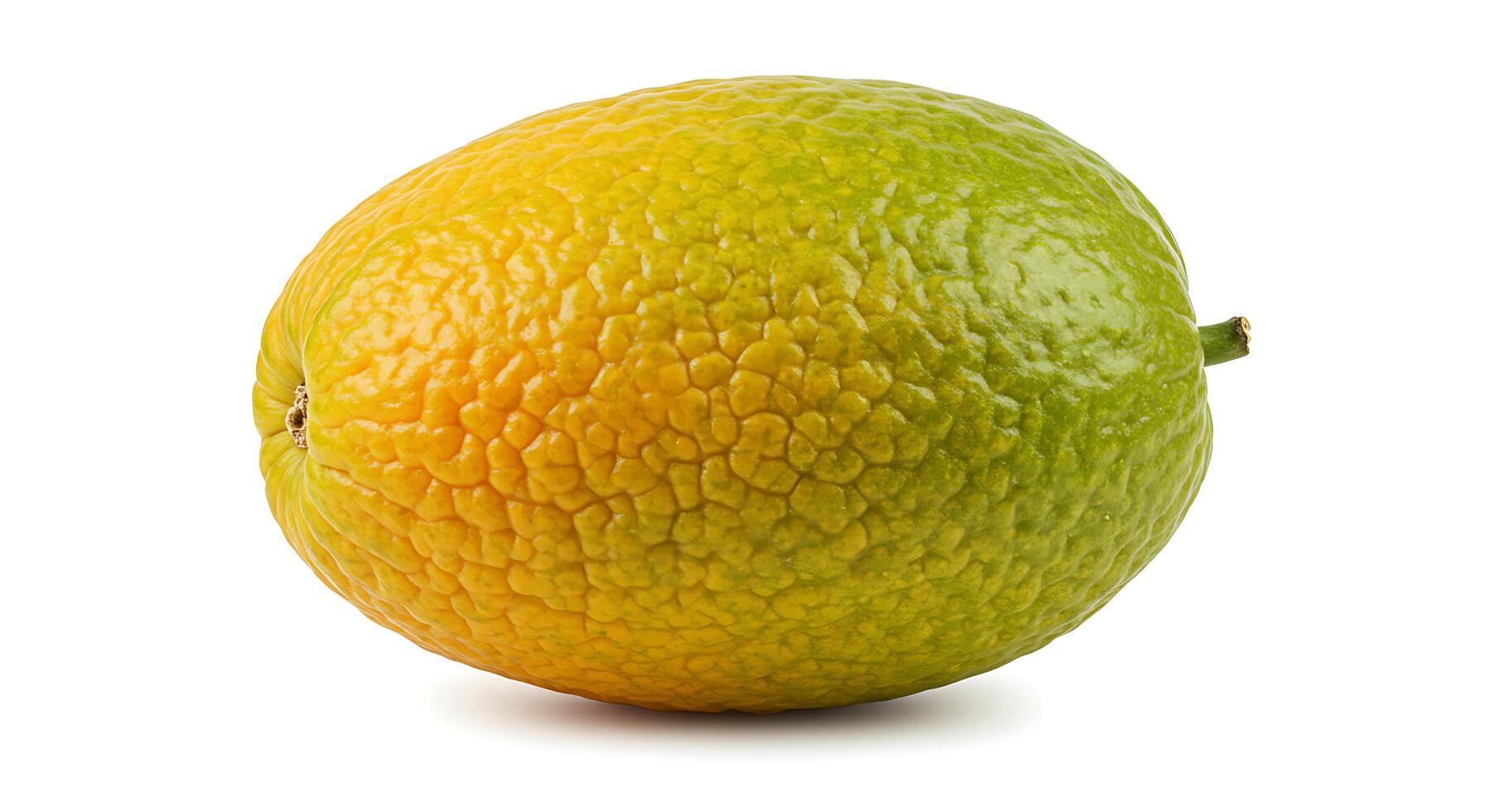 Studio Shot of a Whole Ugli Fruit with Yellow and Green Skin photo