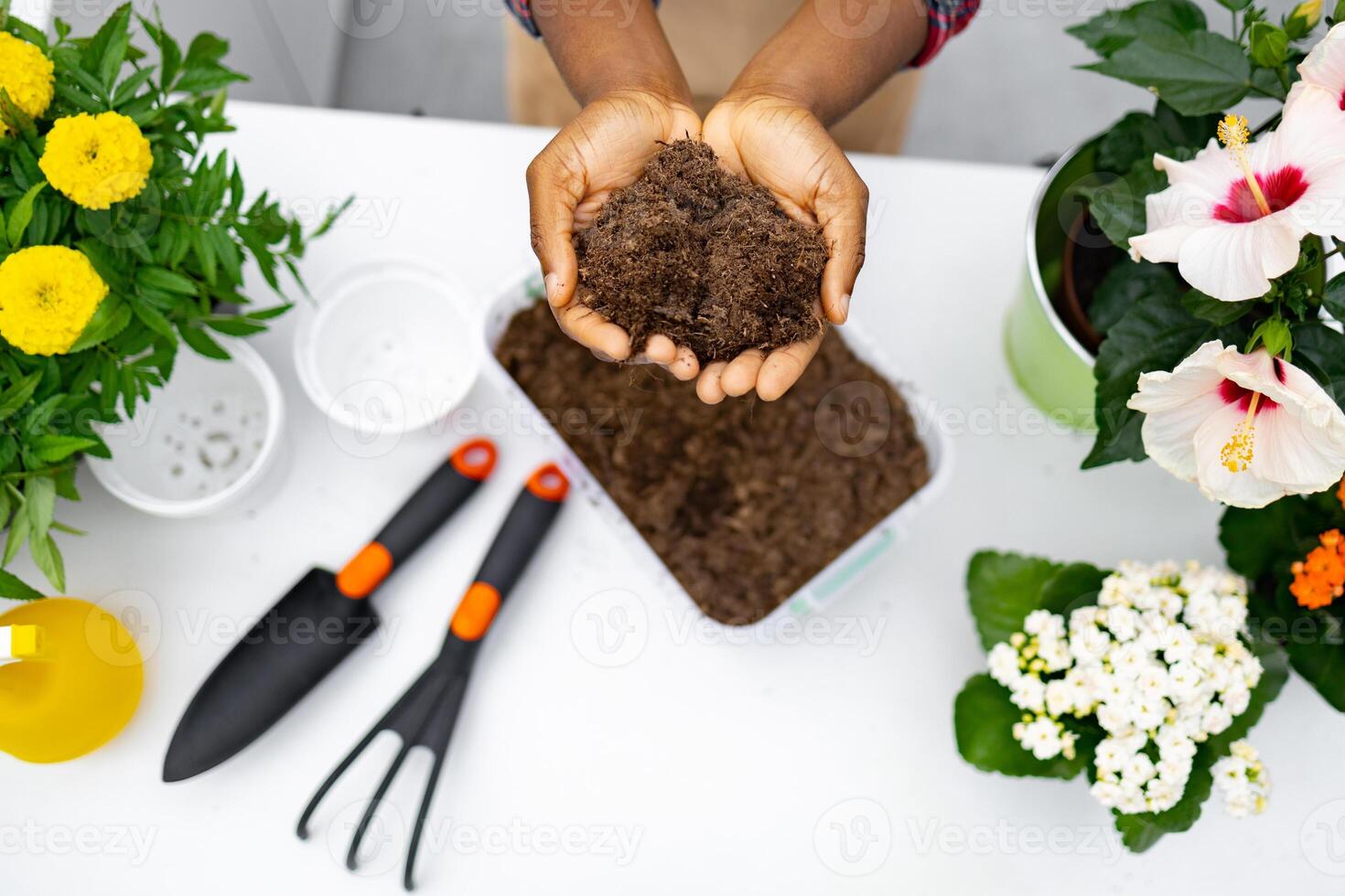 A florist demonstrates replanting flowers, showcasing soil and gardening tools in a florist shop. photo
