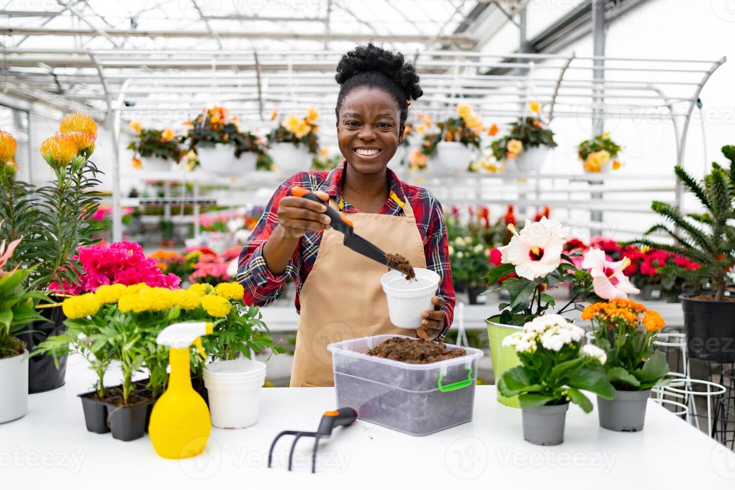 A smiling florist replanting flowers in a greenhouse, surrounded by vibrant plants and gardening tools. photo