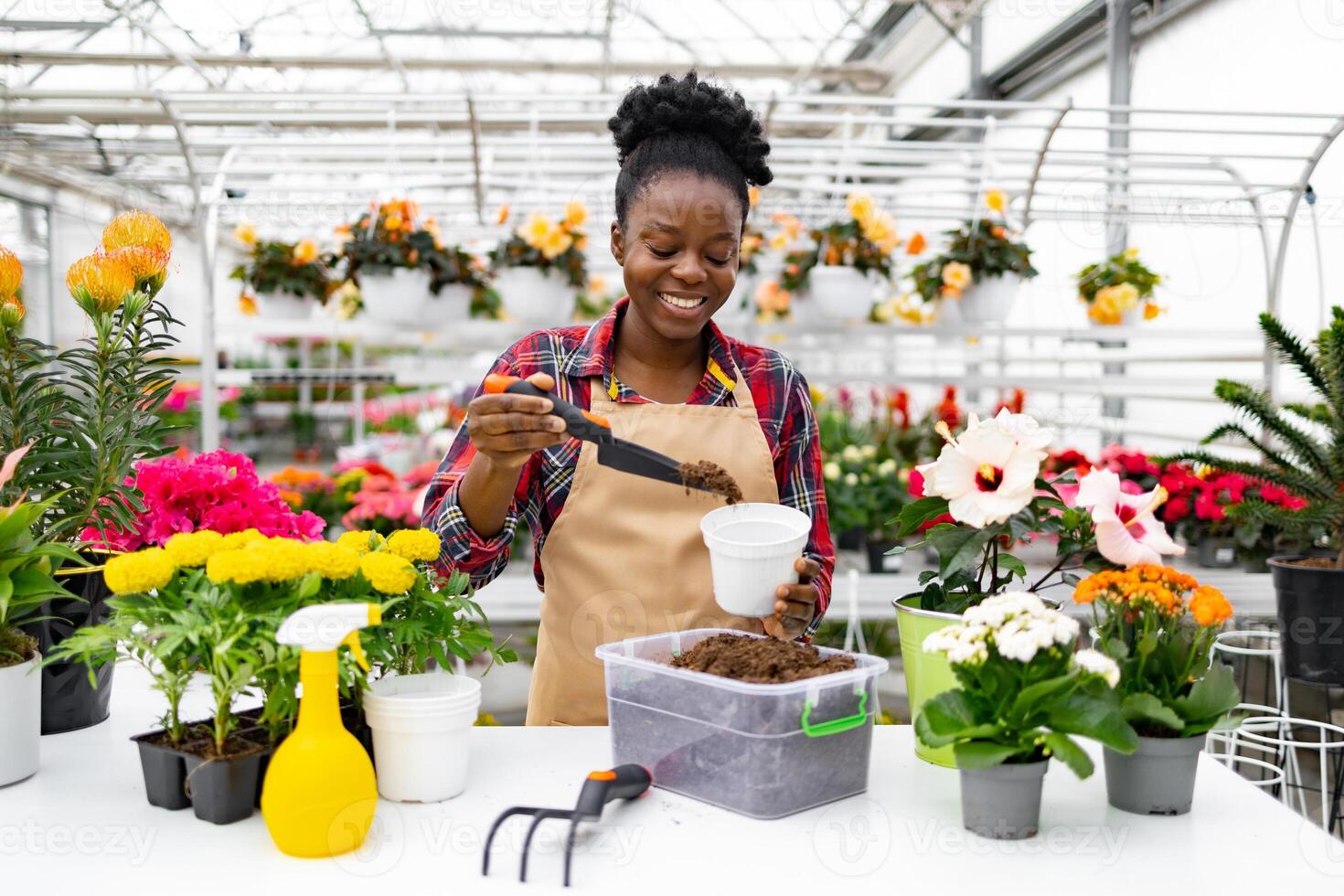 A smiling florist replanting flowers in a bright, well-stocked florist shop, enjoying gardening. photo
