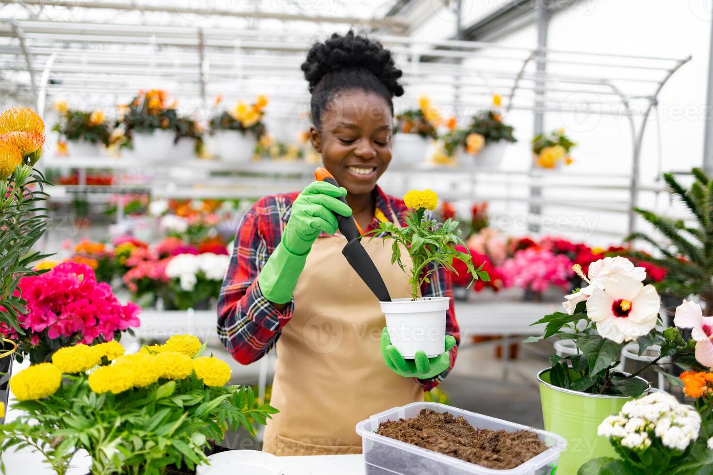 A smiling florist carefully replants flowers in a vibrant shop, showcasing a passion for gardening and botanical care. photo