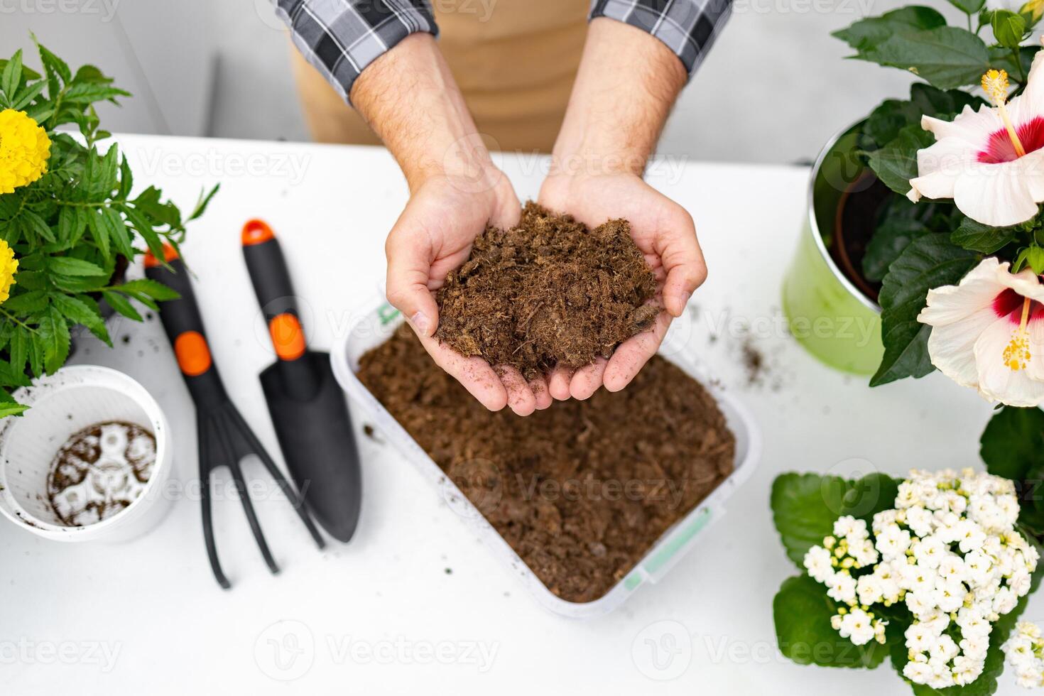 A person holding soil, with gardening tools and plants visible, ready for planting. photo
