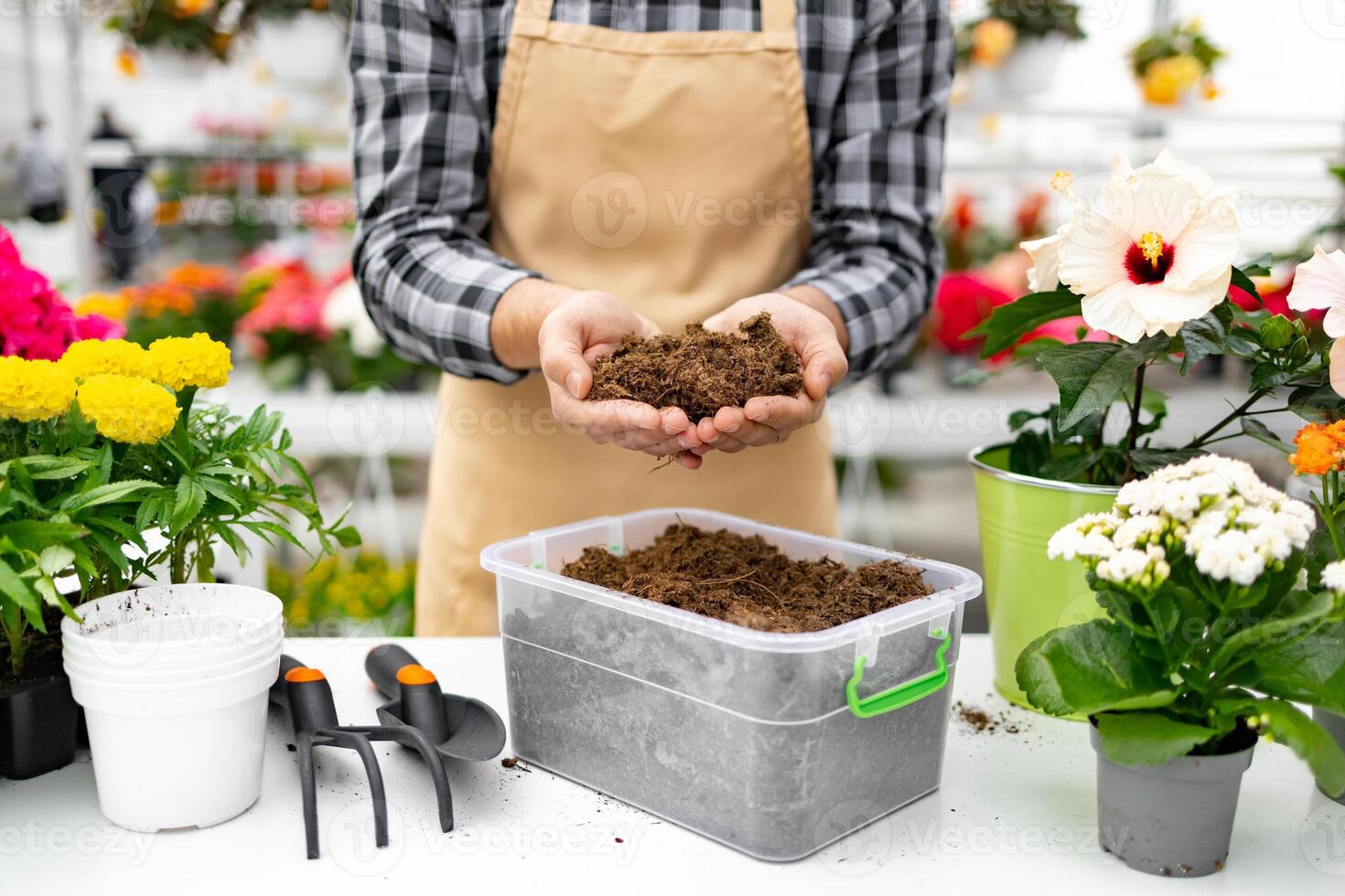 A gardener holds soil in his hands, ready for planting surrounded by various potted flowers. photo