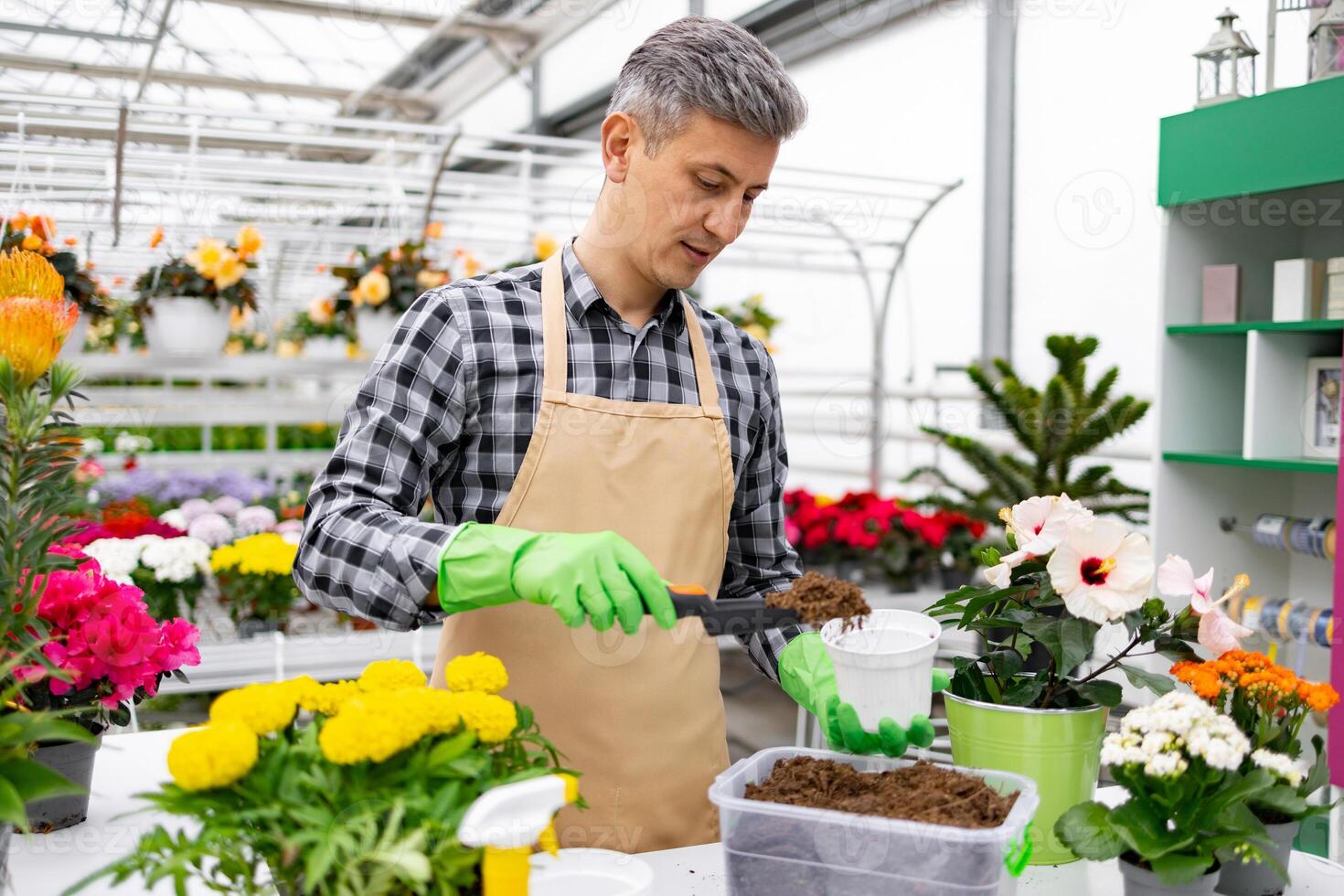 A man wearing an apron and gloves, planting flowers inside a greenhouse, surrounded by various plants. photo