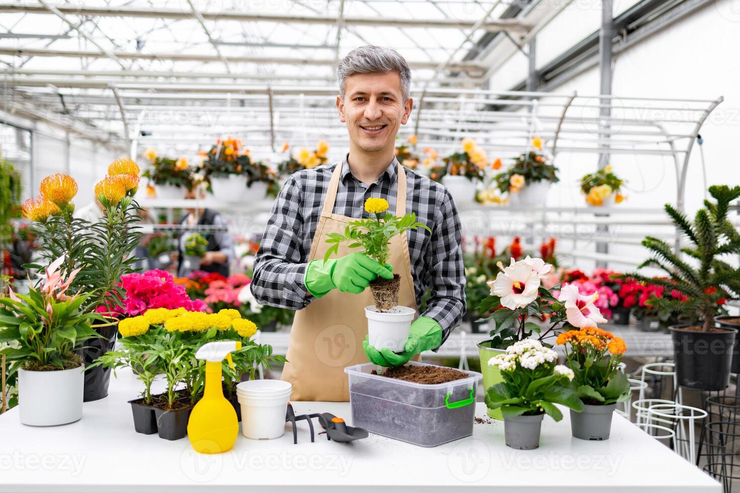 A smiling man in a greenhouse holds a potted plant, surrounded by various flowers and gardening tools. photo