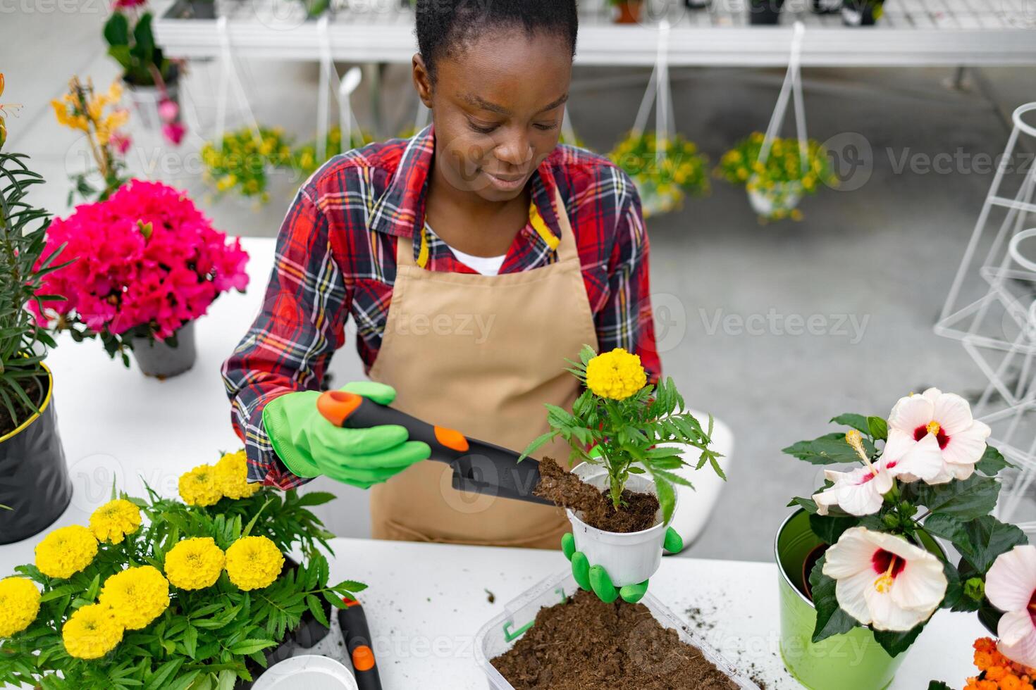 An African woman tending to plants in a greenhouse, focused on replanting a yellow flower into a new pot with soil. photo