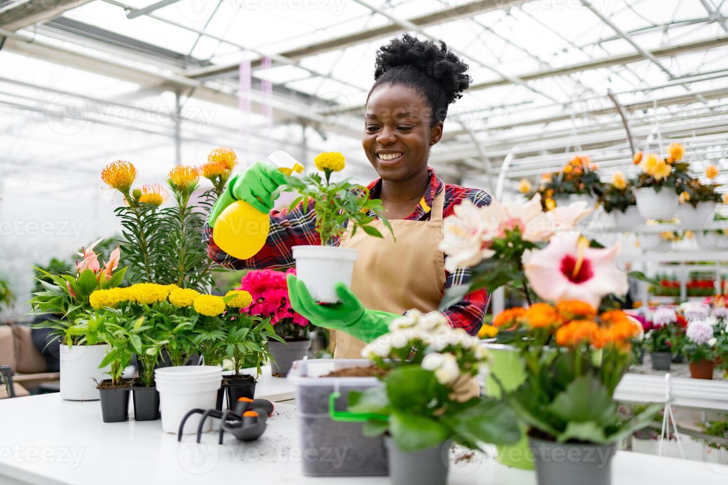 An African American woman waters plants in a greenhouse, smiling and tending to various colorful flowers. photo