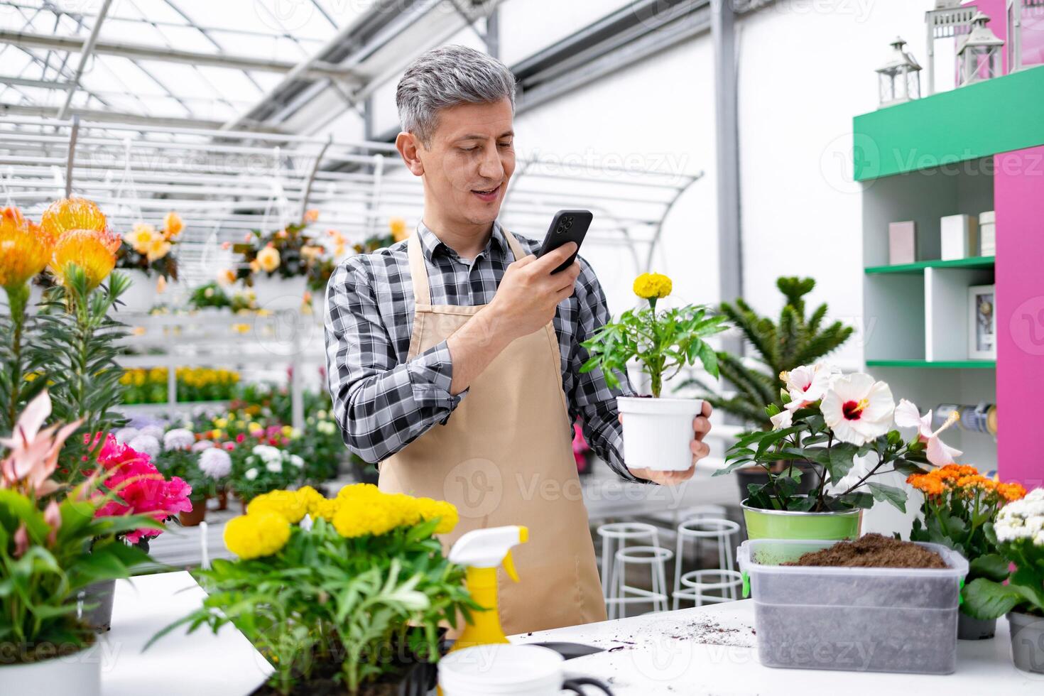 A man in a checkered shirt and apron uses his phone to take a picture of a potted marigold plant in a greenhouse setting. photo