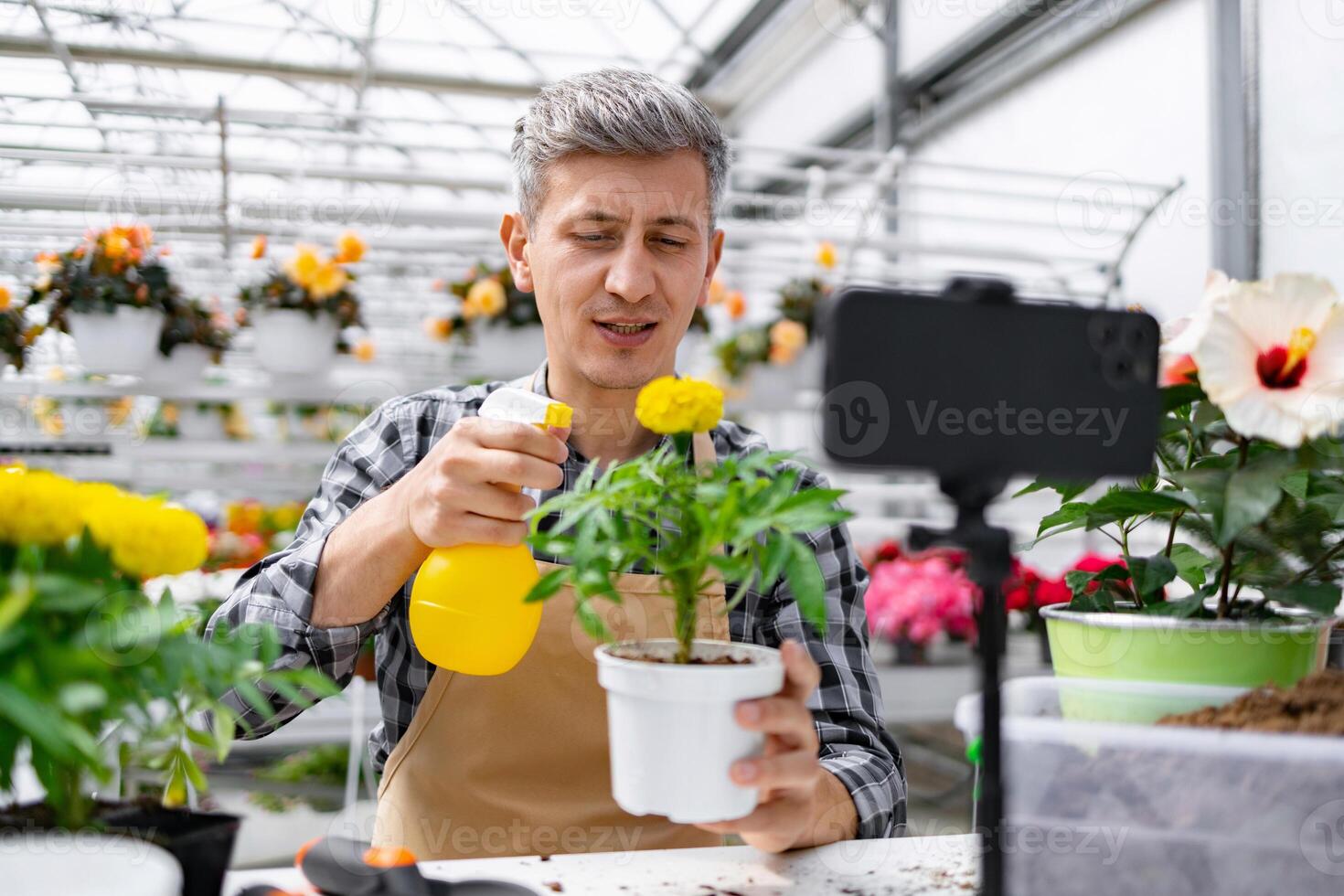 A man in a greenhouse waters a plant while recording a on his phone. photo