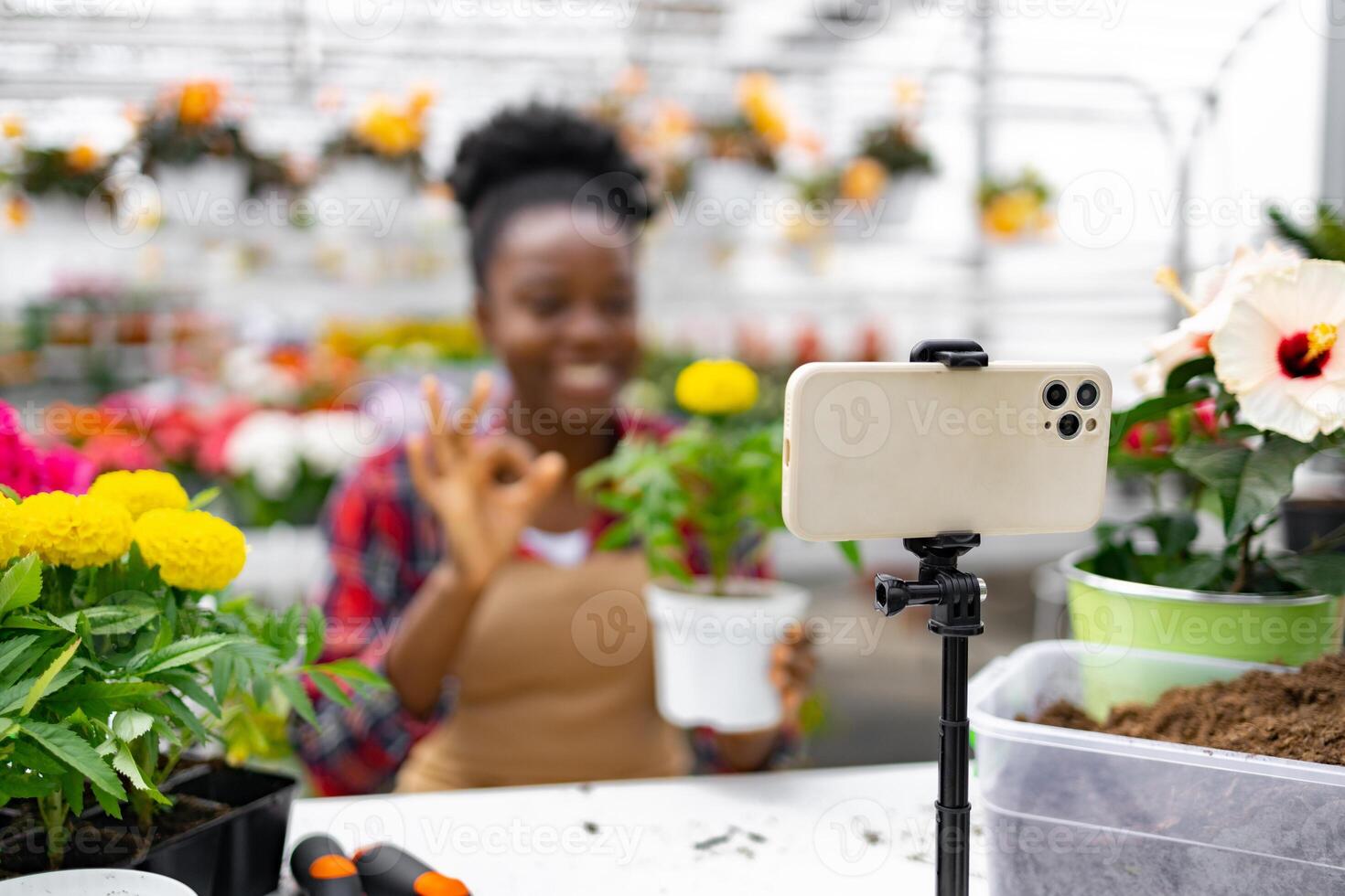 An African-American woman gives a thumbs up while filming a gardening tutorial with her phone in a greenhouse. photo