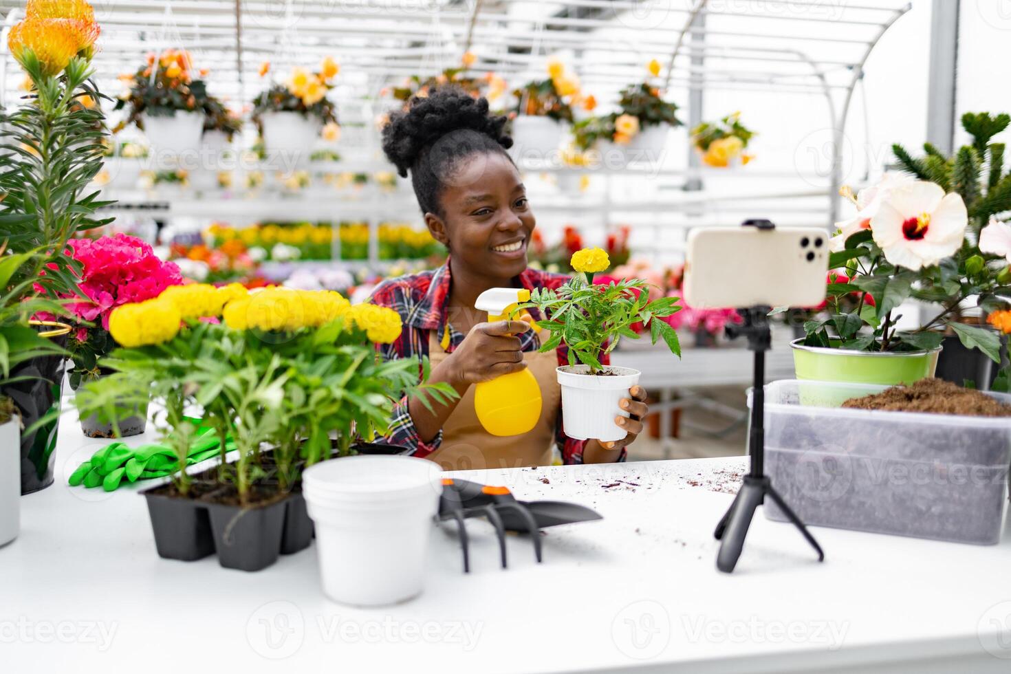 An African American woman in a greenhouse smiles while showing a plant on camera, spraying it with water from a yellow bottle. photo
