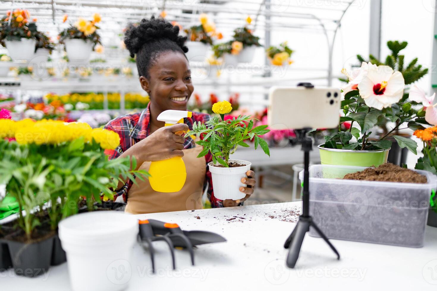 An African American woman sprays a plant while filming a gardening tutorial in a greenhouse. photo