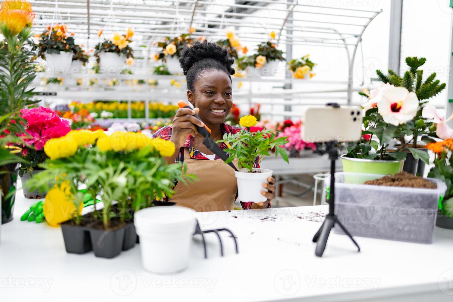 An African-American woman smiles while recording a gardening tutorial with flowers at a plant nursery. photo