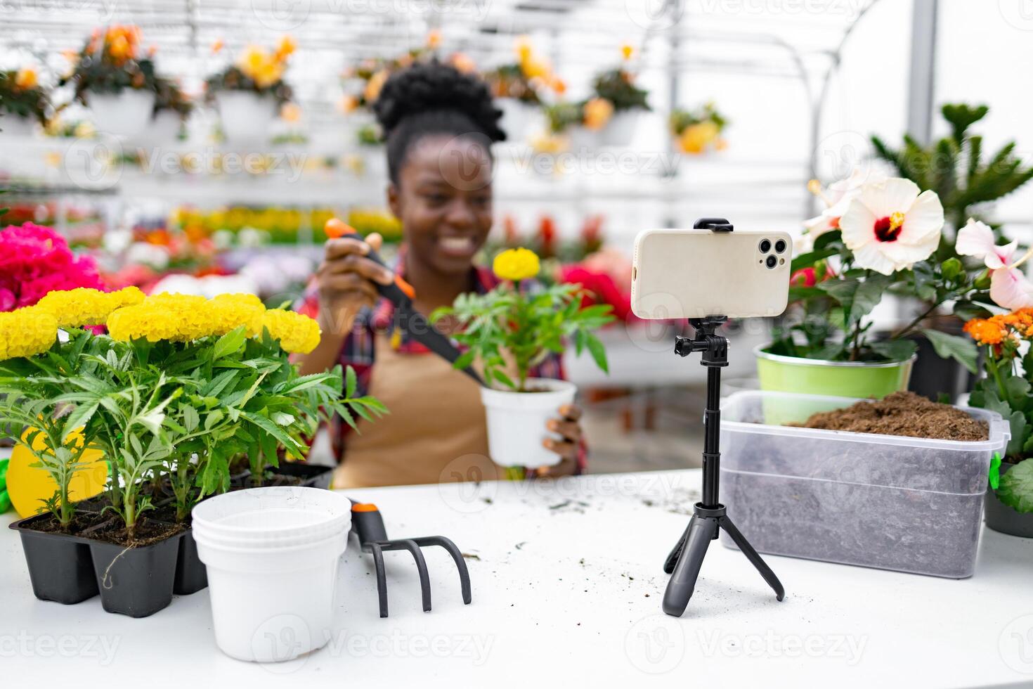 A smiling woman of African descent demonstrates gardening techniques while filming a tutorial on a smartphone set up on a tripod. photo