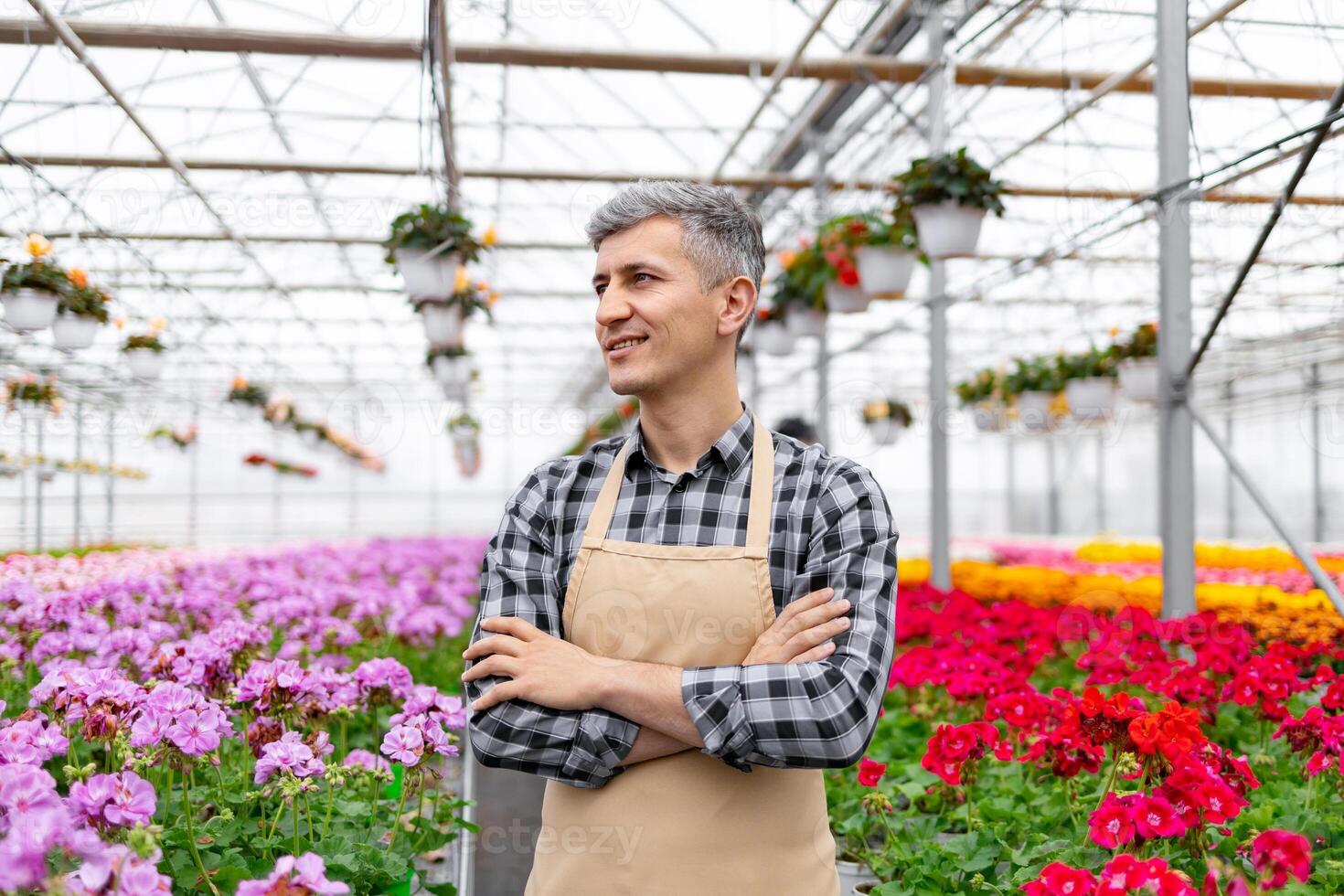 A smiling man in a greenhouse, surrounded by colorful flowers, wearing an apron and plaid shirt, looking content. photo