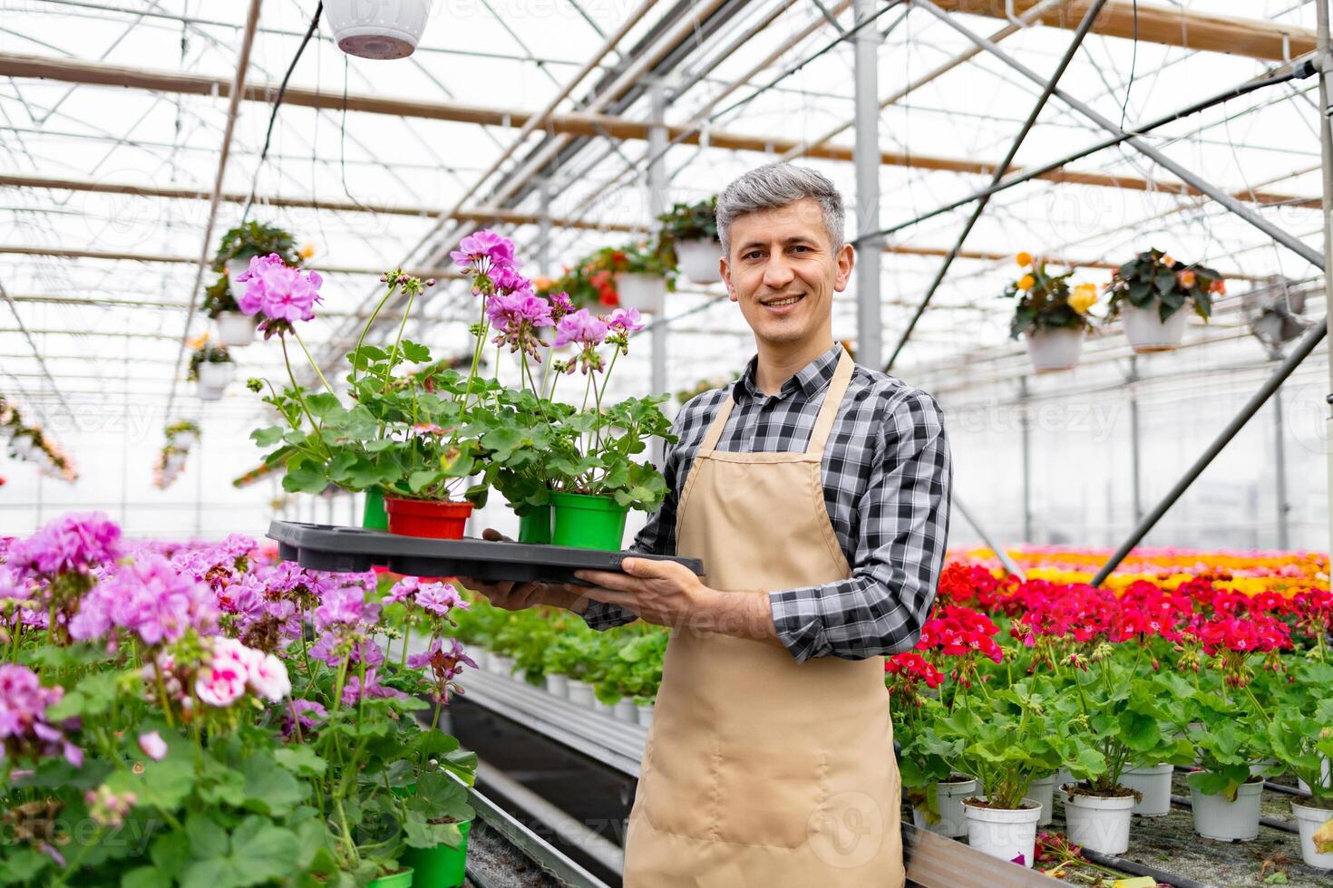 A smiling man in a greenhouse holds a tray of potted flowers, surrounded by blooming plants. photo