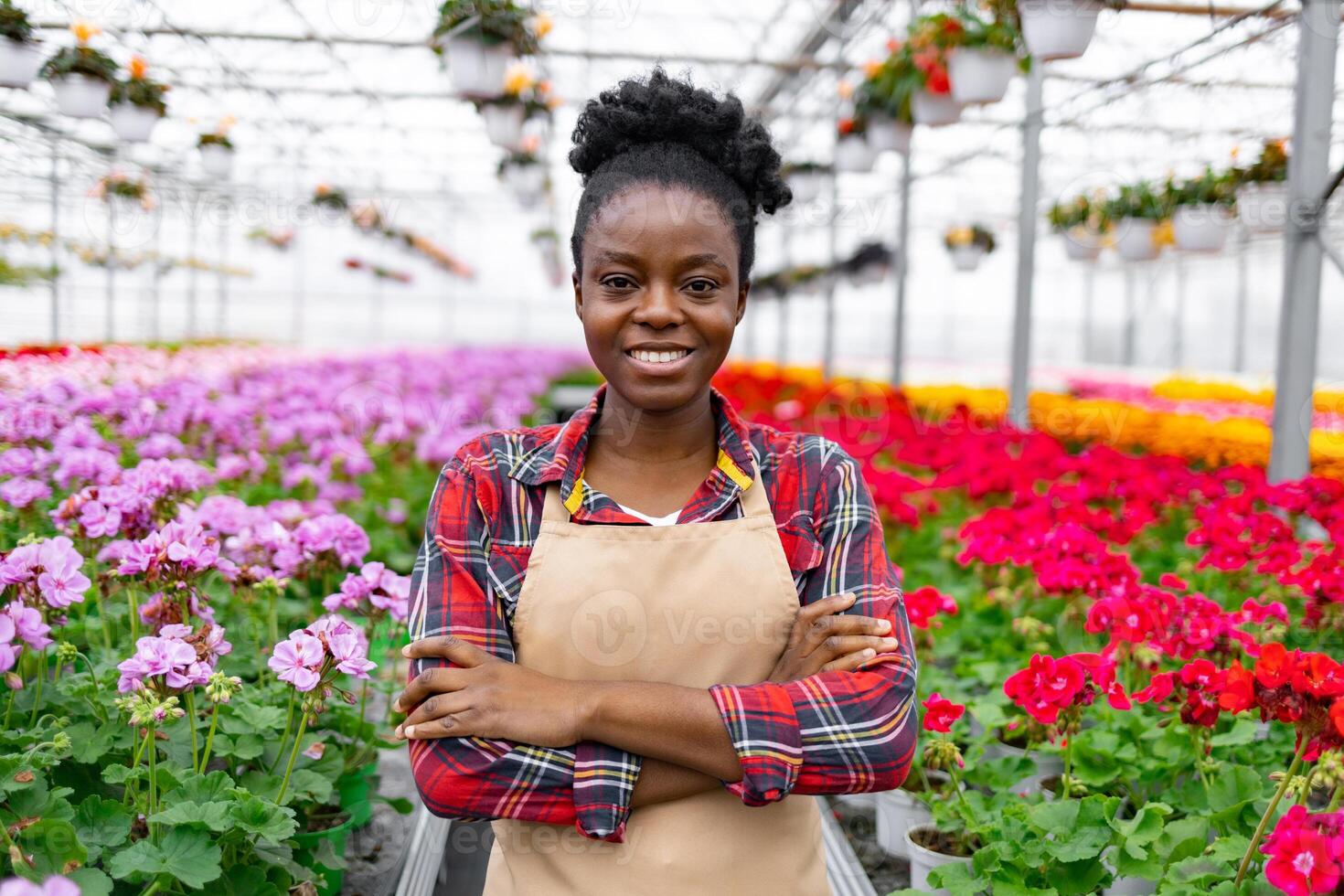 Smiling African woman stands in a greenhouse filled with colorful geraniums, wearing a plaid shirt and apron. photo