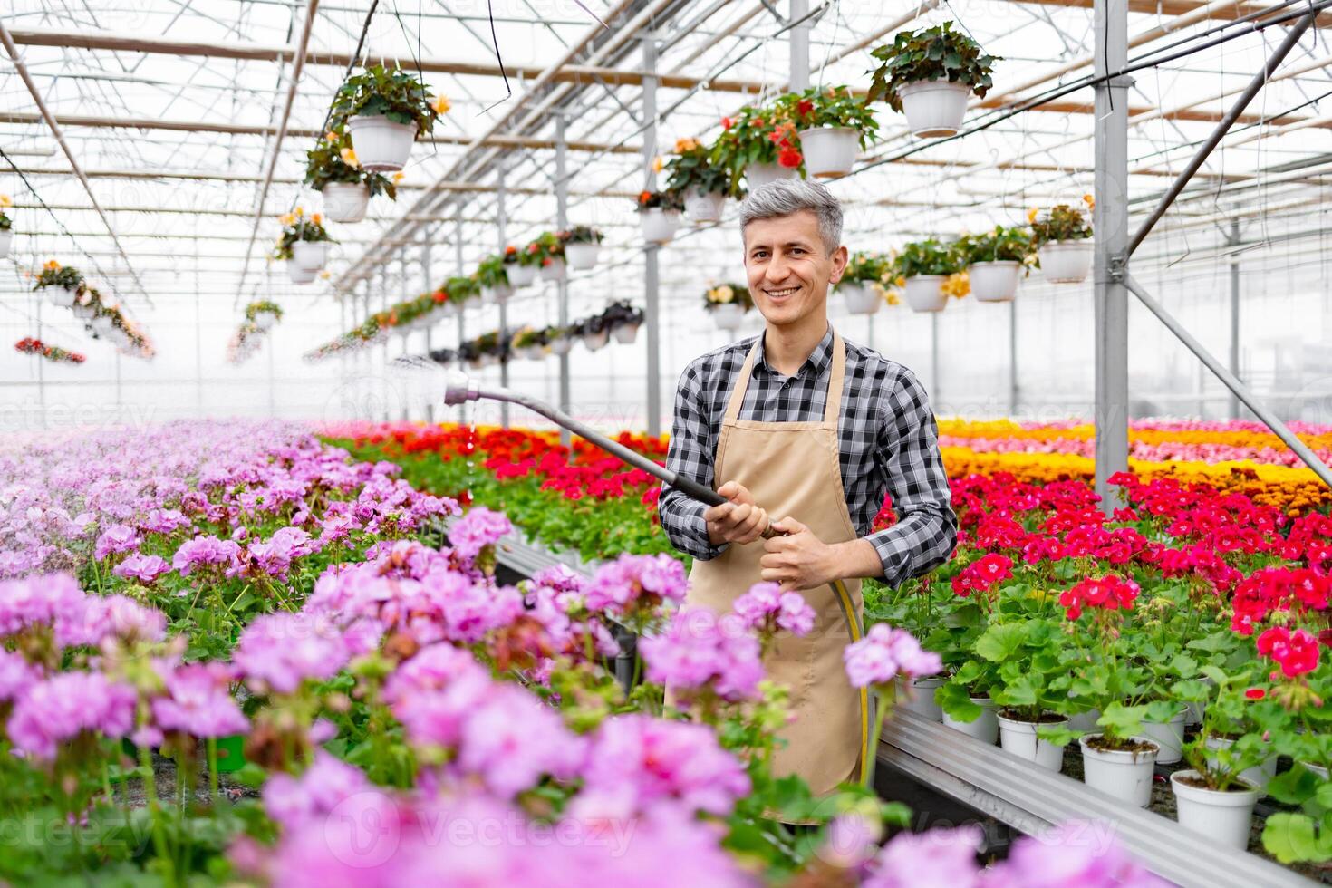 A smiling man with grey hair tending to colorful flowers in a greenhouse, holding a watering device. photo