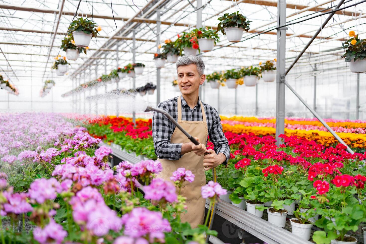 A smiling gardener waters flowers in a vibrant greenhouse, surrounded by colorful blooms, creating a scene of horticultural beauty. photo