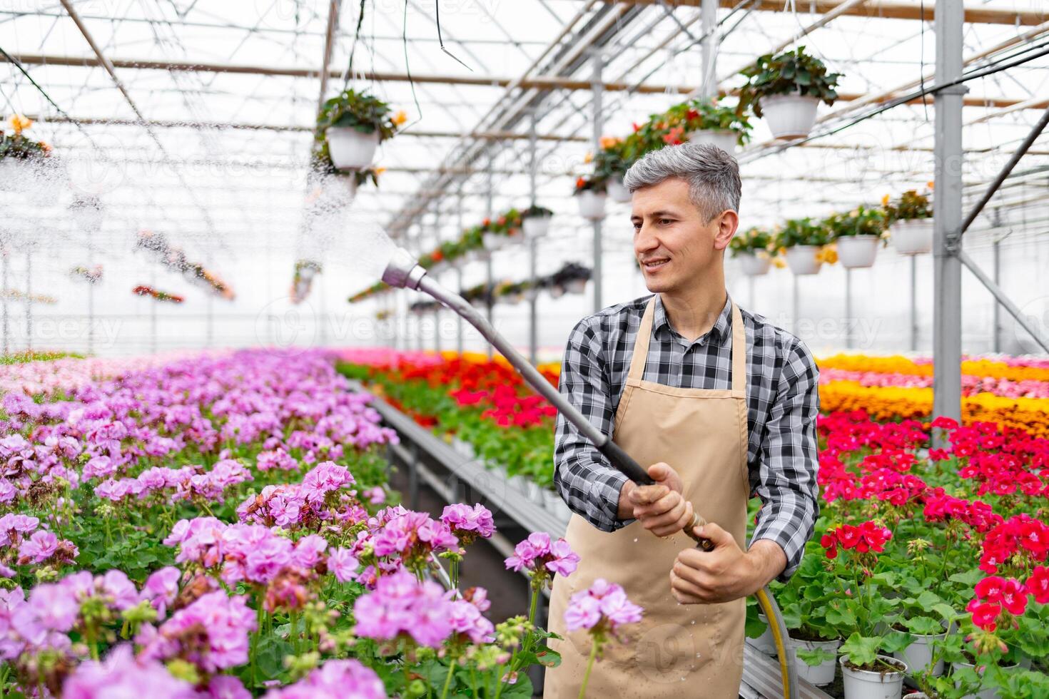 A greenhouse worker waters colorful flowers with a hose, creating a beautiful and vibrant display. photo