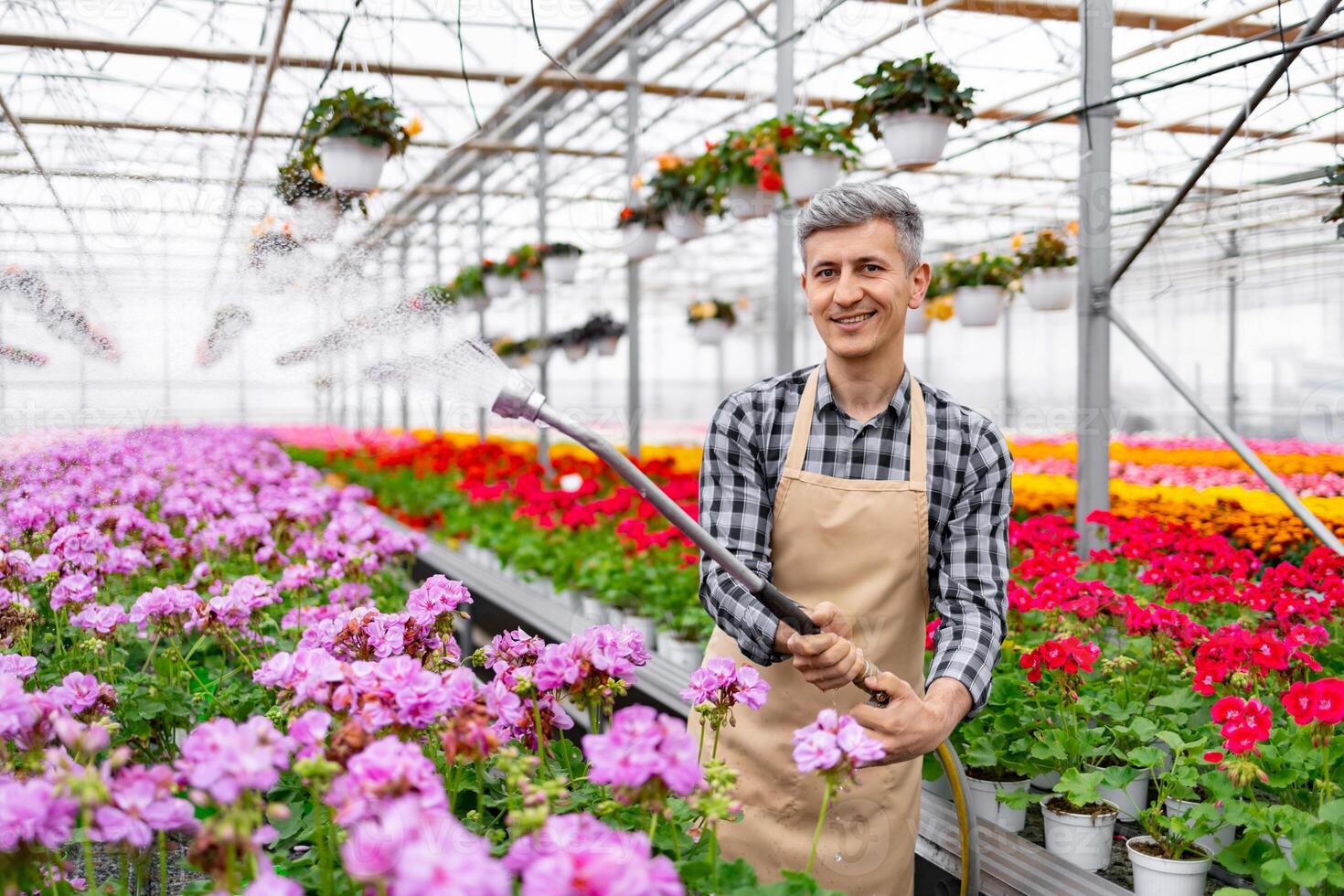 A smiling man waters rows of colorful flowers in a greenhouse, showcasing his dedication to horticulture. photo
