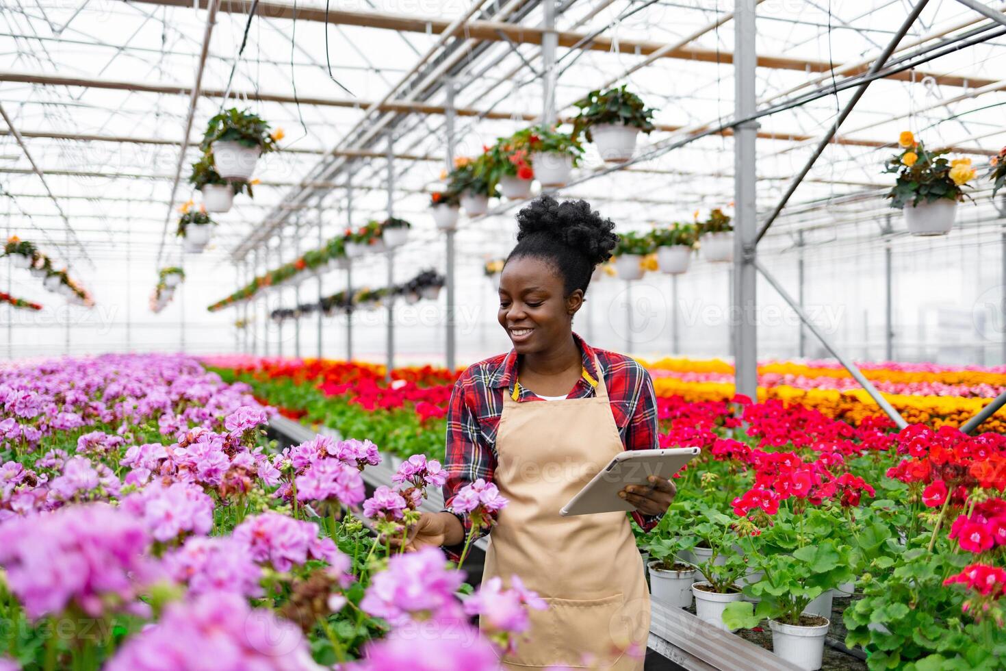 An African-American woman tends to flowers in a greenhouse, using a tablet to monitor growth and development. photo