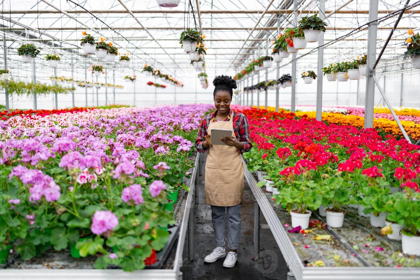 A smiling African woman tending to flowers in a greenhouse, using a tablet to monitor her plants. photo