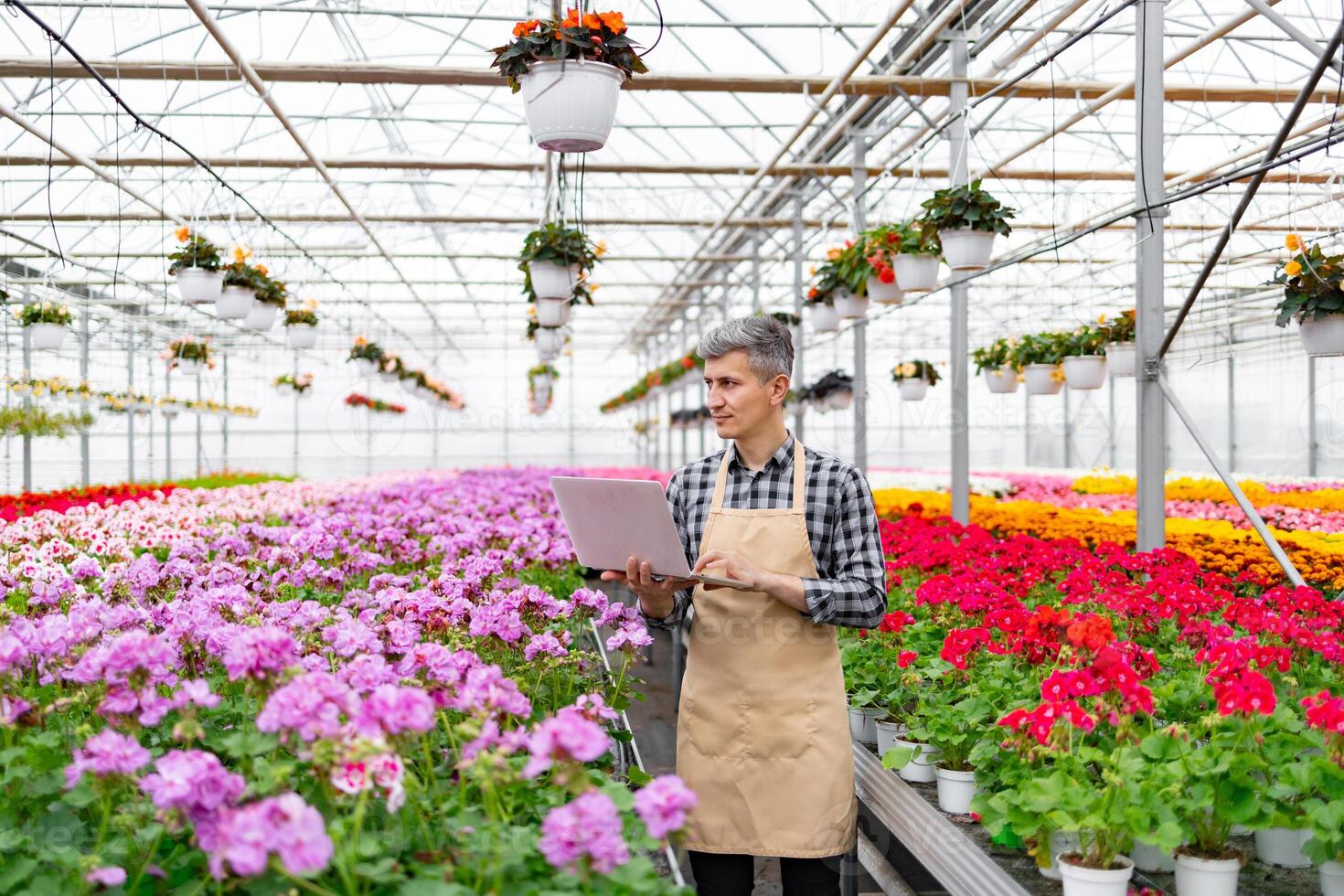 A gardener in a greenhouse, using a laptop to manage vibrant flowers and plants in pots and hanging baskets. photo