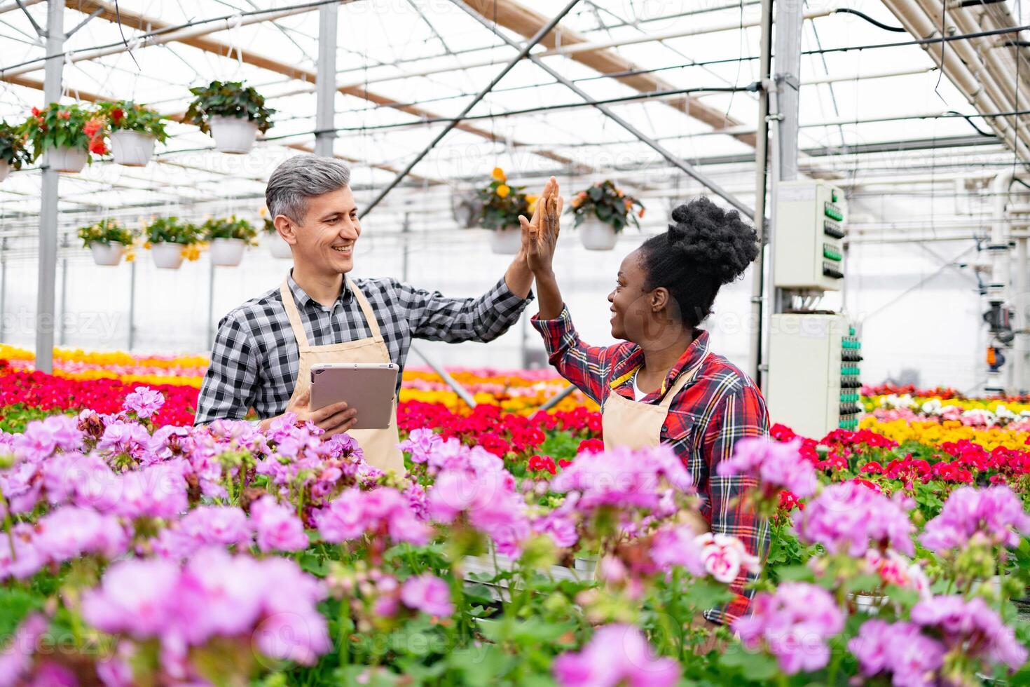 Two diverse greenhouse workers celebrate with a high-five gesture amidst vibrant blooming flowers. photo