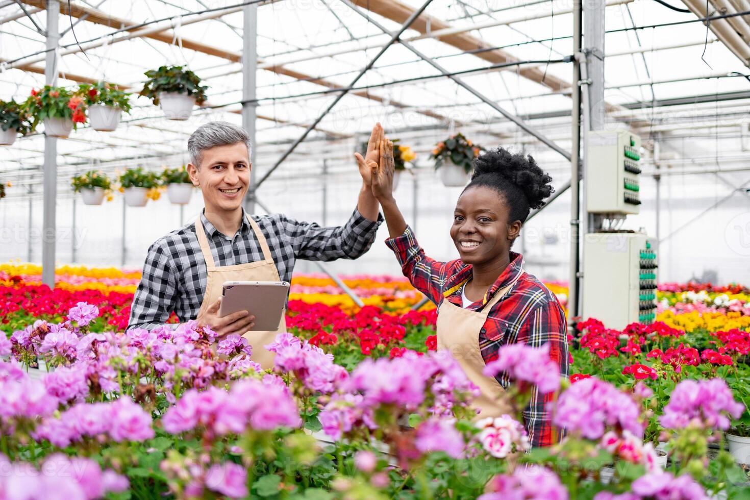 Two diverse greenhouse workers celebrate a successful day with a high-five amidst blooming flowers. photo