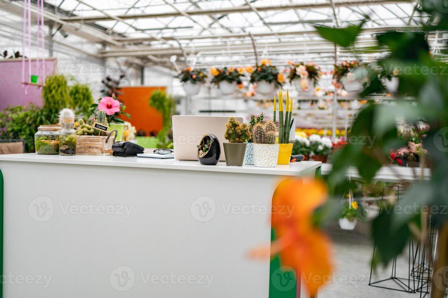 A bright interior of a florist shop features a counter with potted plants, cacti, and a laptop ready for business. photo