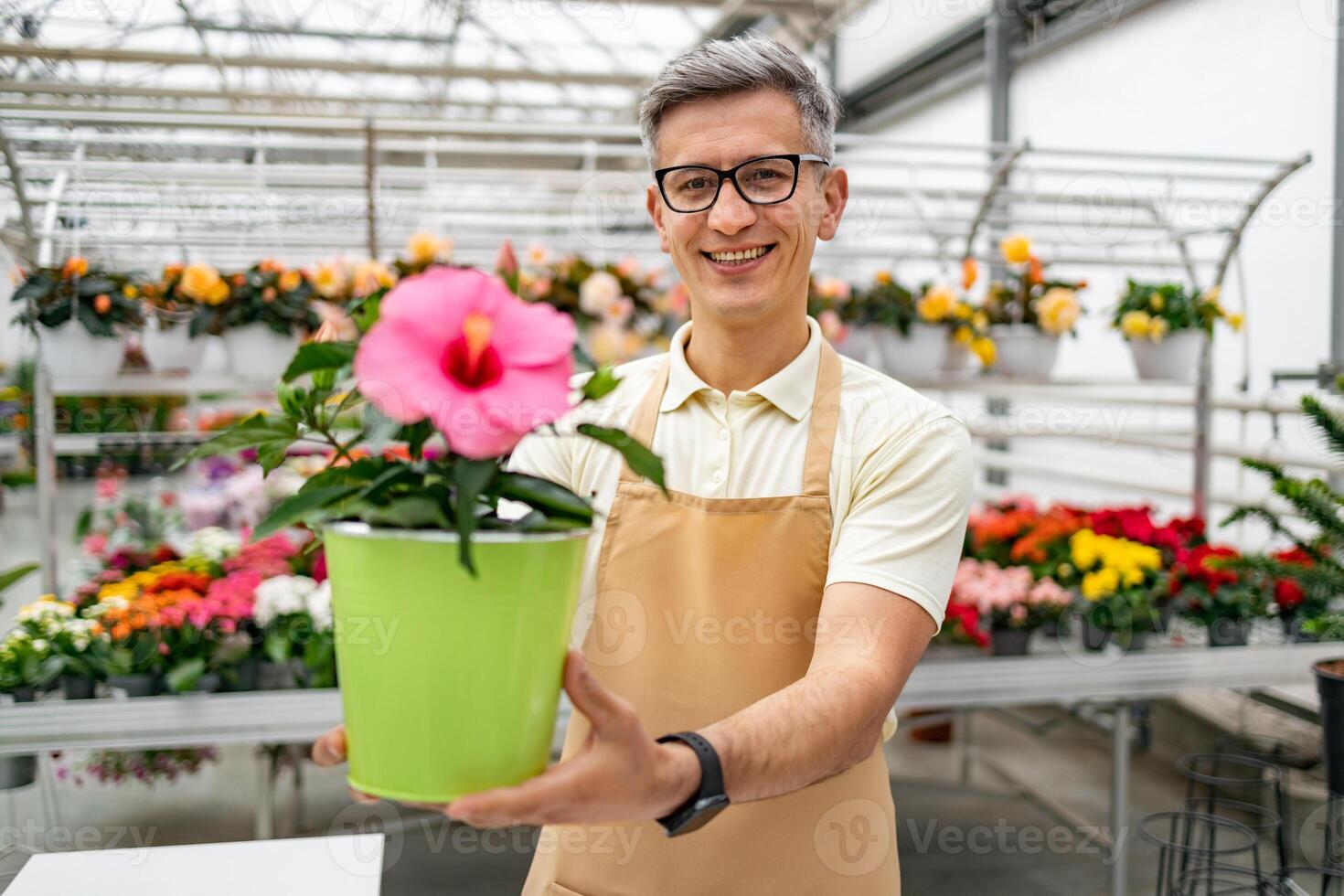 A Caucasian man in a florist shop offers a blooming flower pot with a smile, surrounded by plants. photo