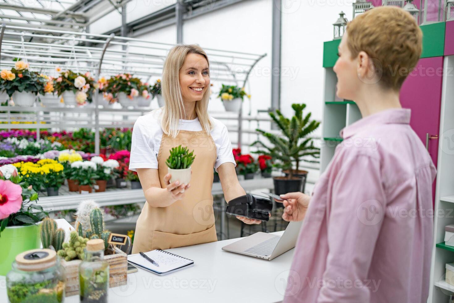 A florist helps a customer pay for a purchase at the checkout, with a smile, holding a small plant in a pot. photo